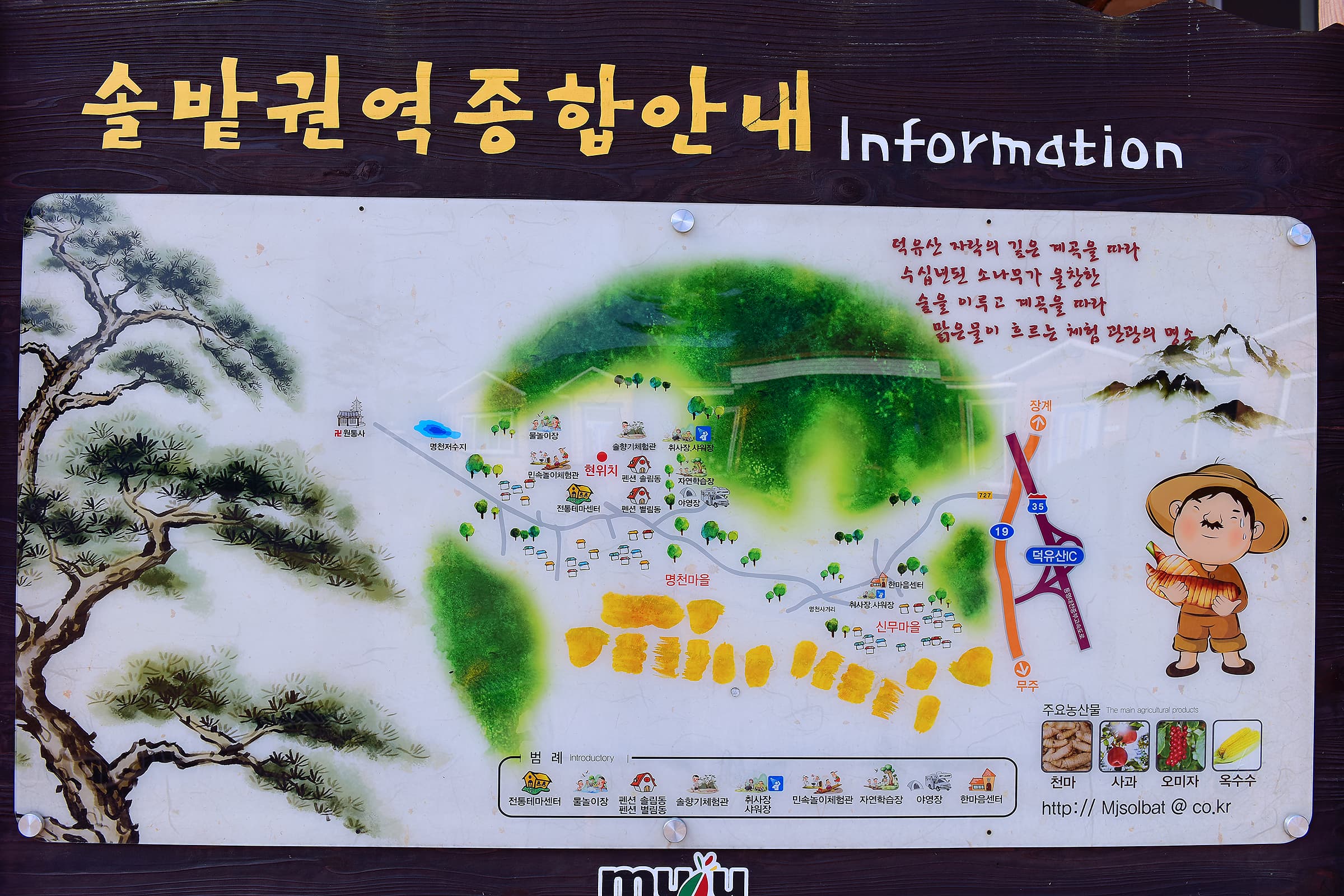 무주 솔밭야영장 사진 1
