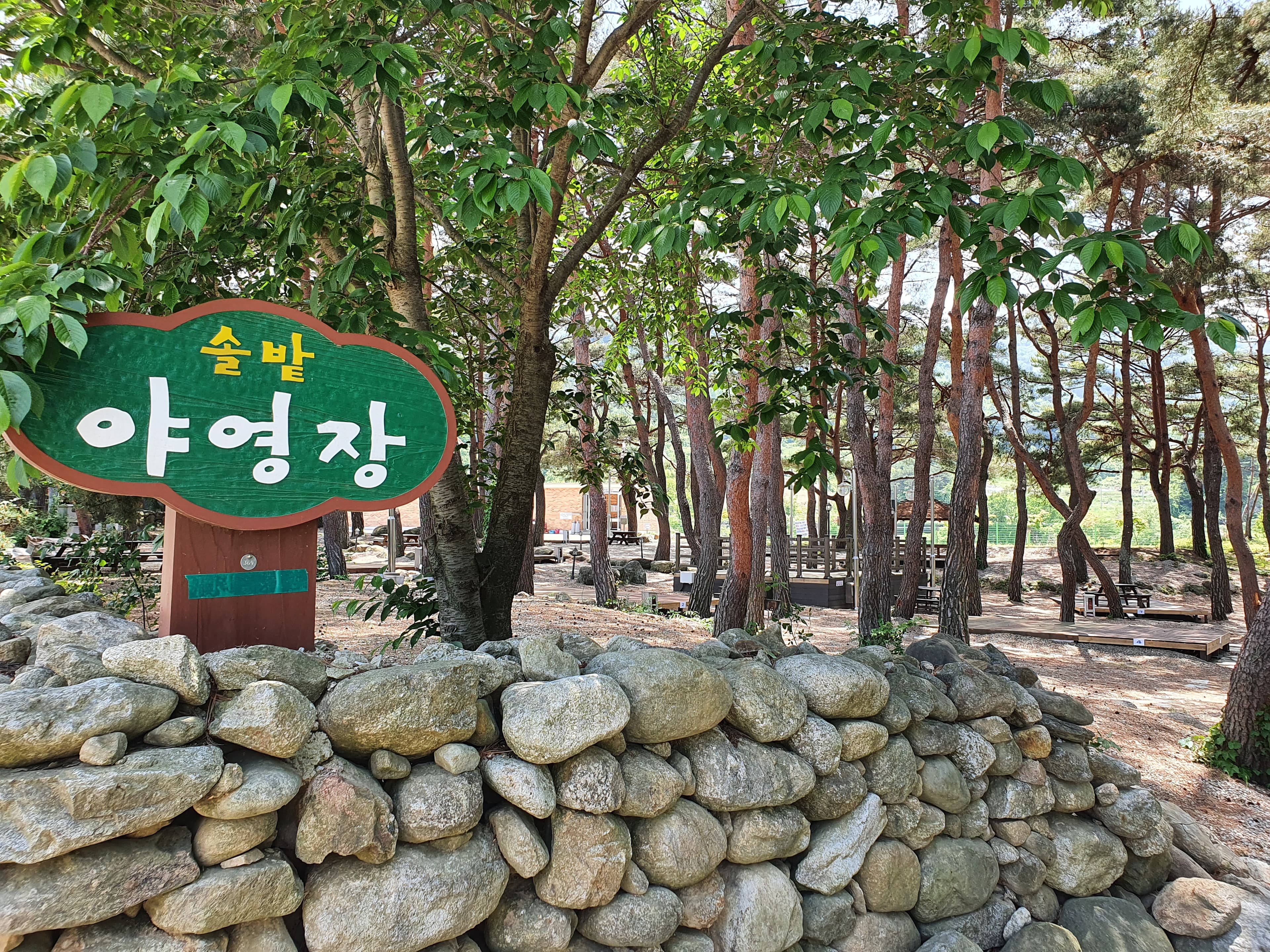 무주 솔밭야영장 사진 2
