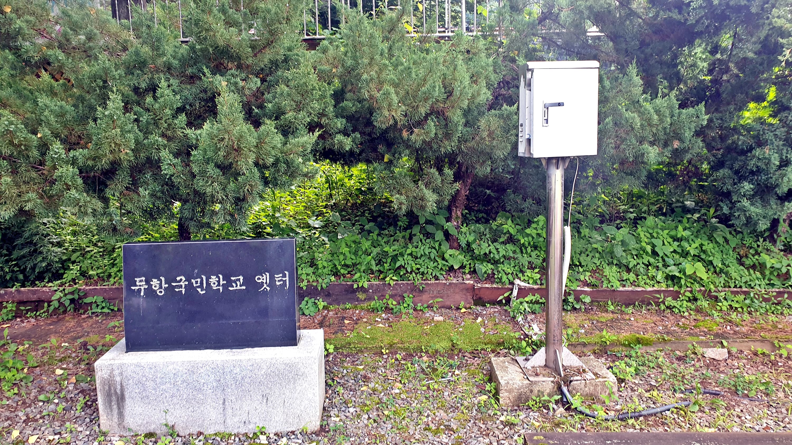 반딧불자연캠핑장 사진 9
