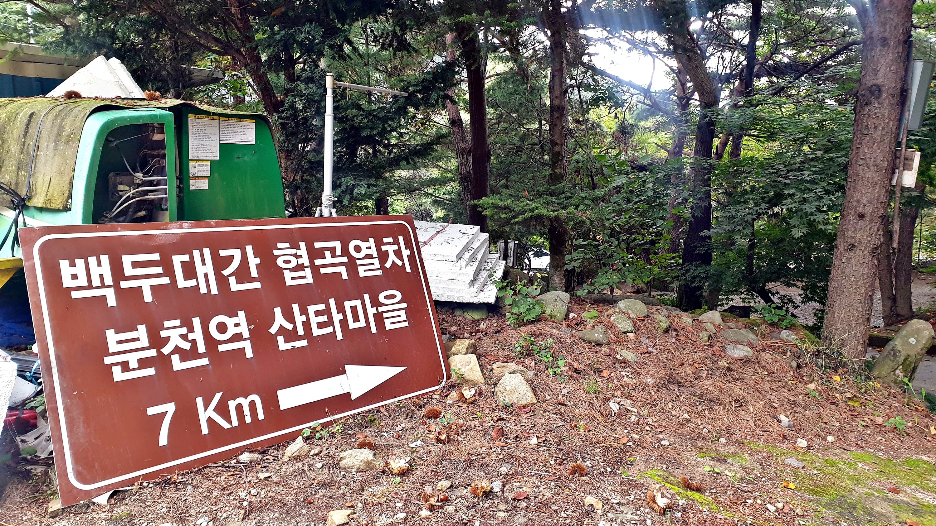 각화산캠핑장 사진 31