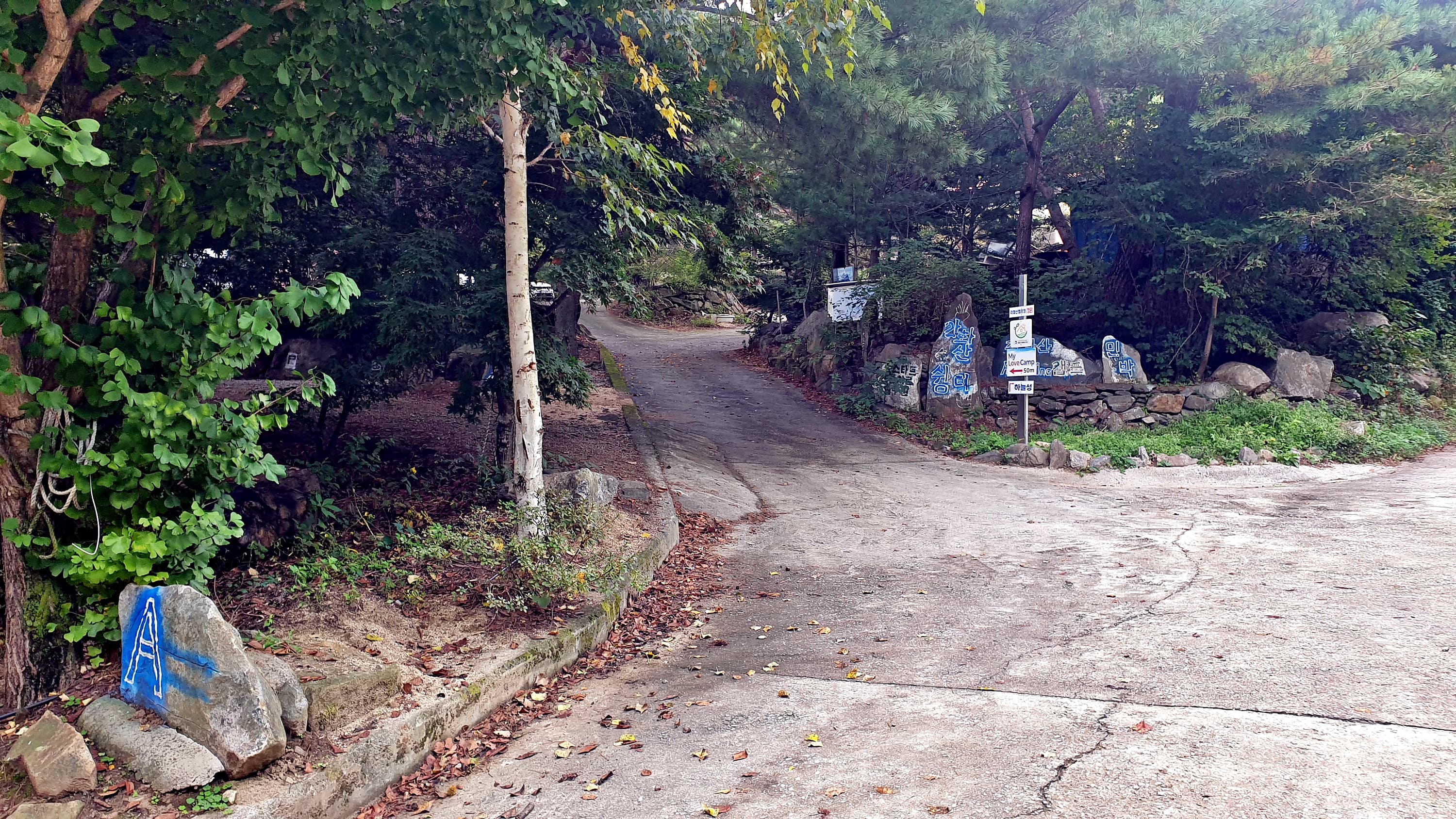 각화산캠핑장 사진 5