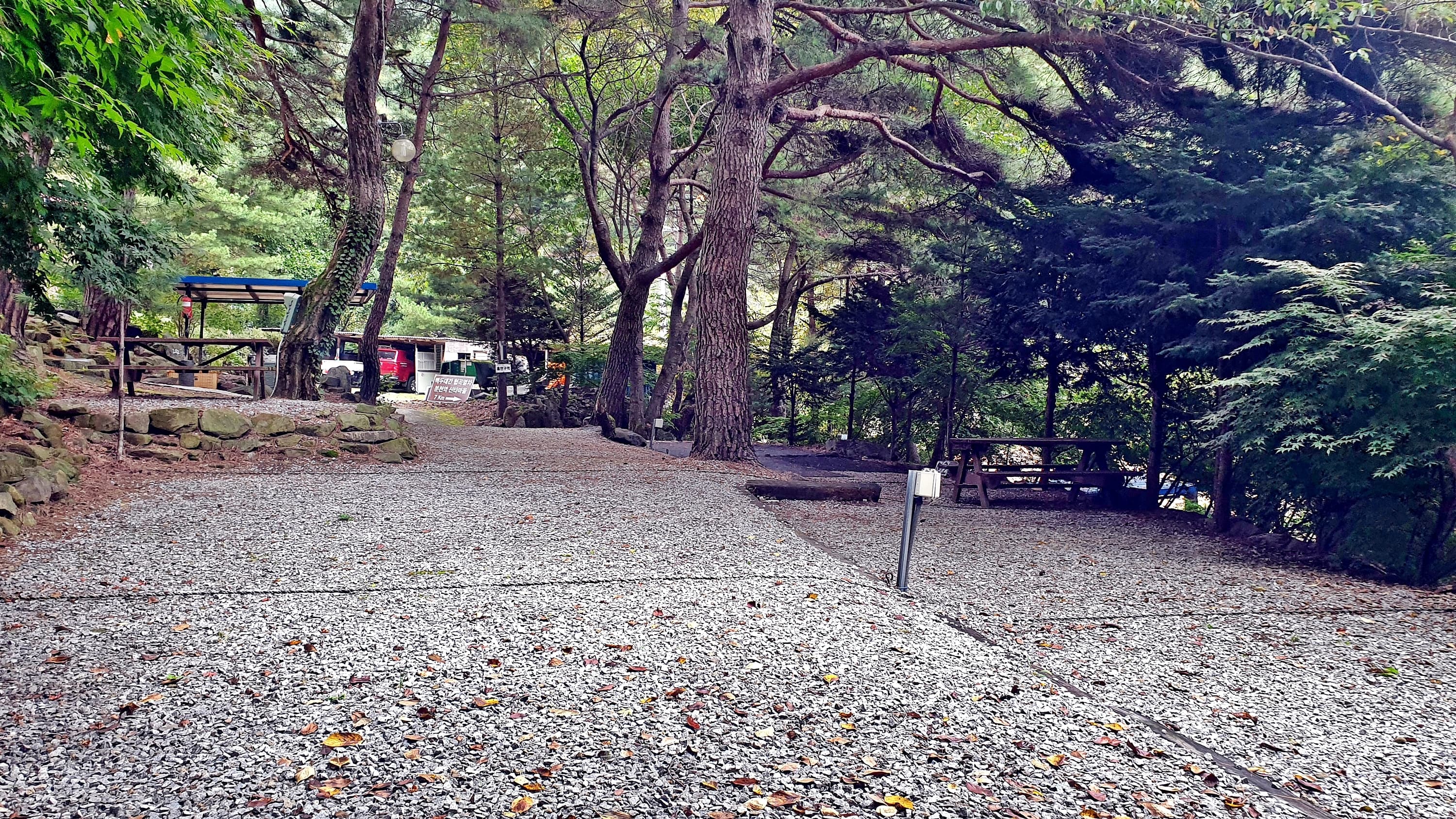 각화산캠핑장 사진 41