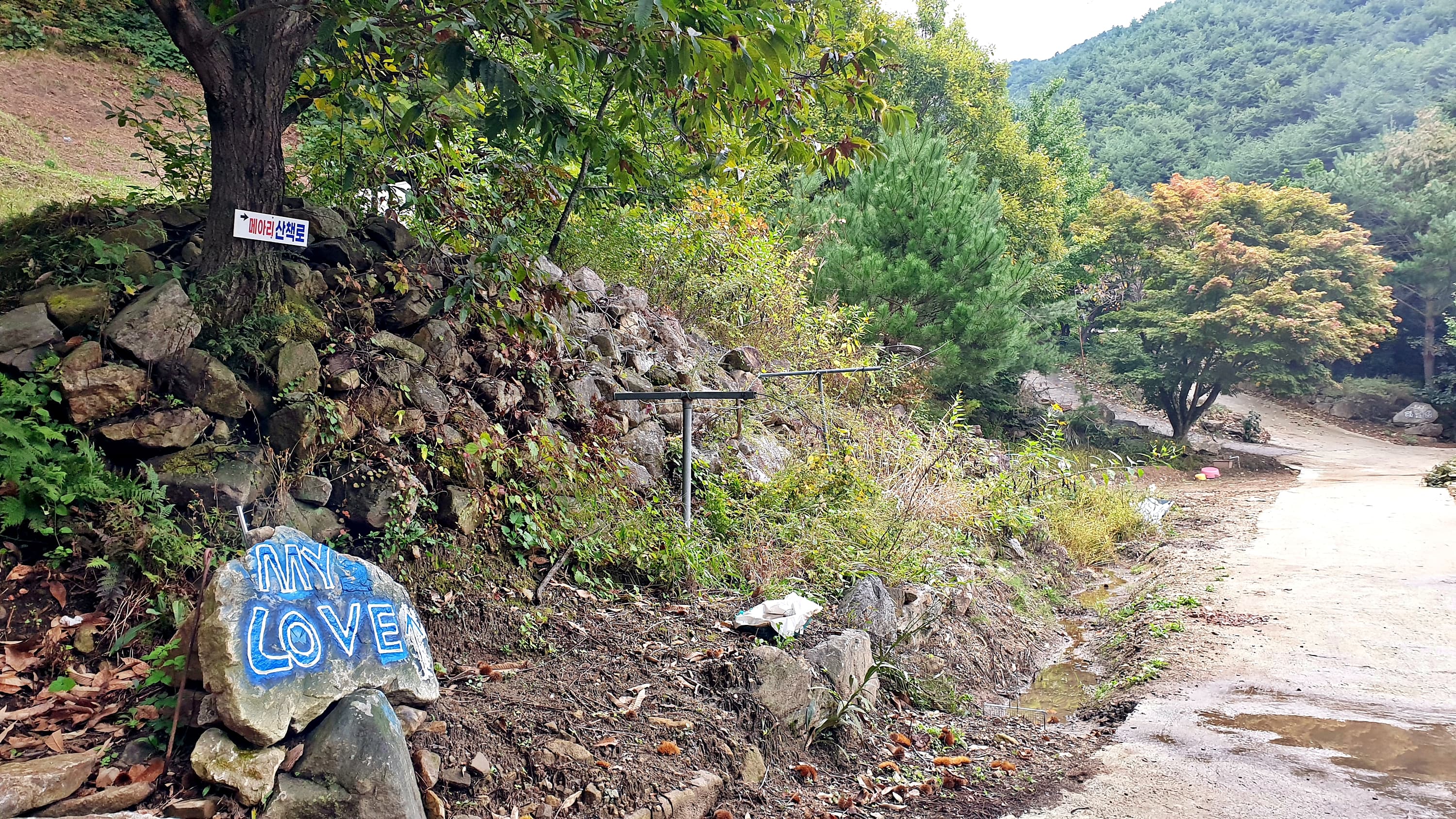 각화산캠핑장 사진 26