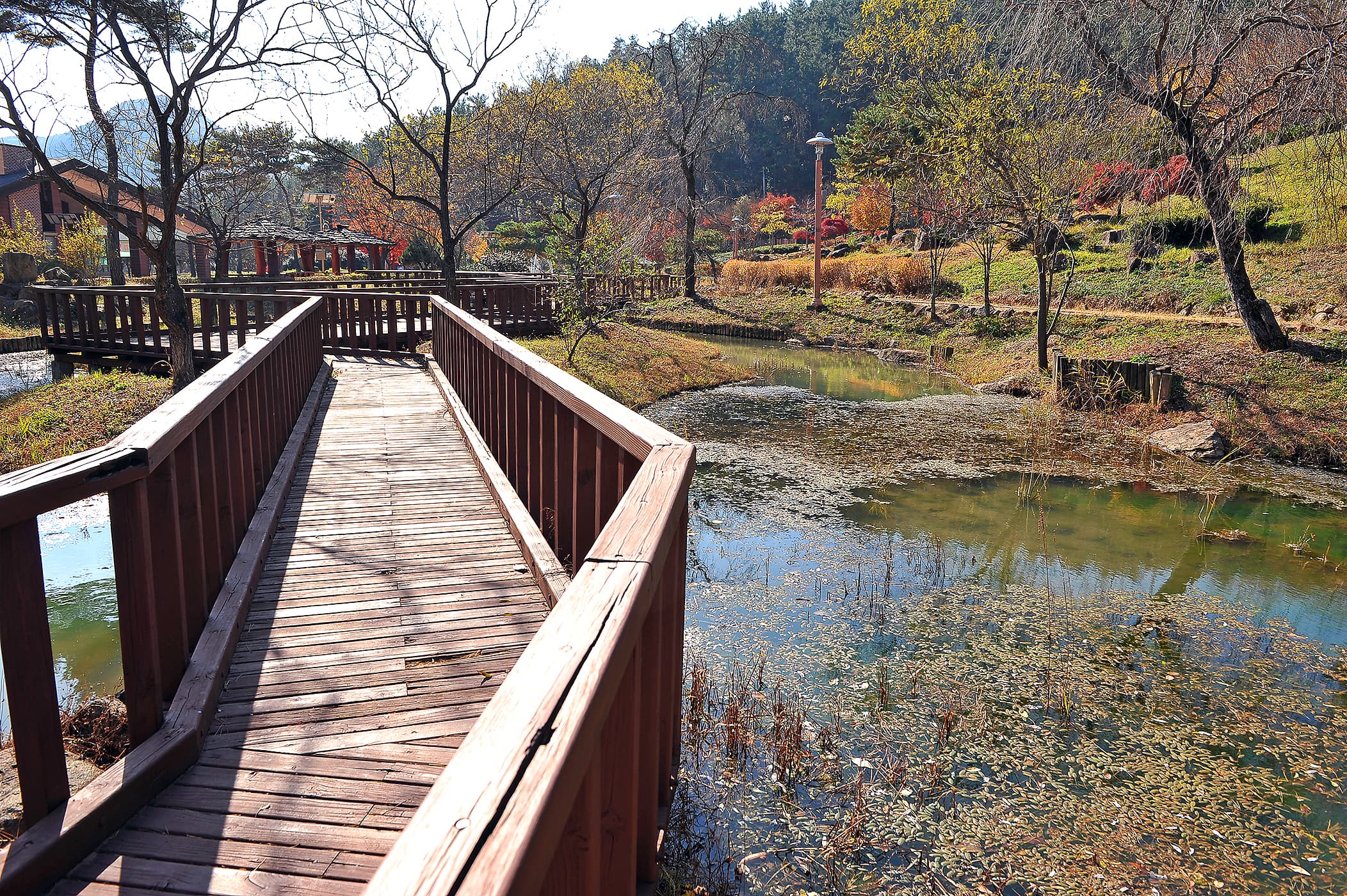 백운산 자연휴양림 야영장 사진 16