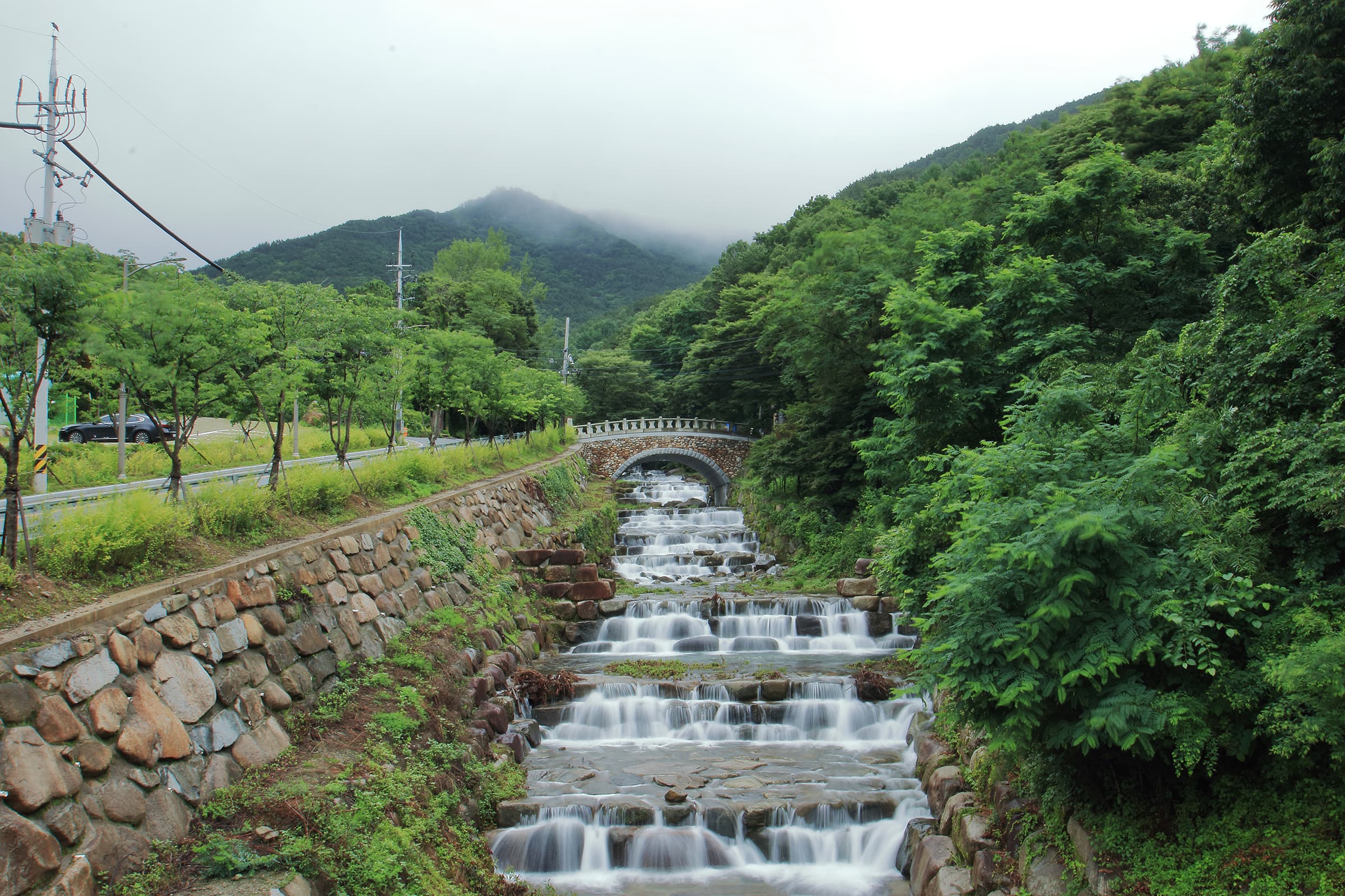 비슬산 숲속 오토캠핑장 사진 17