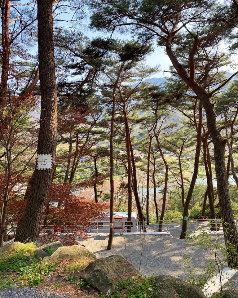 섬지야영장 사진 47