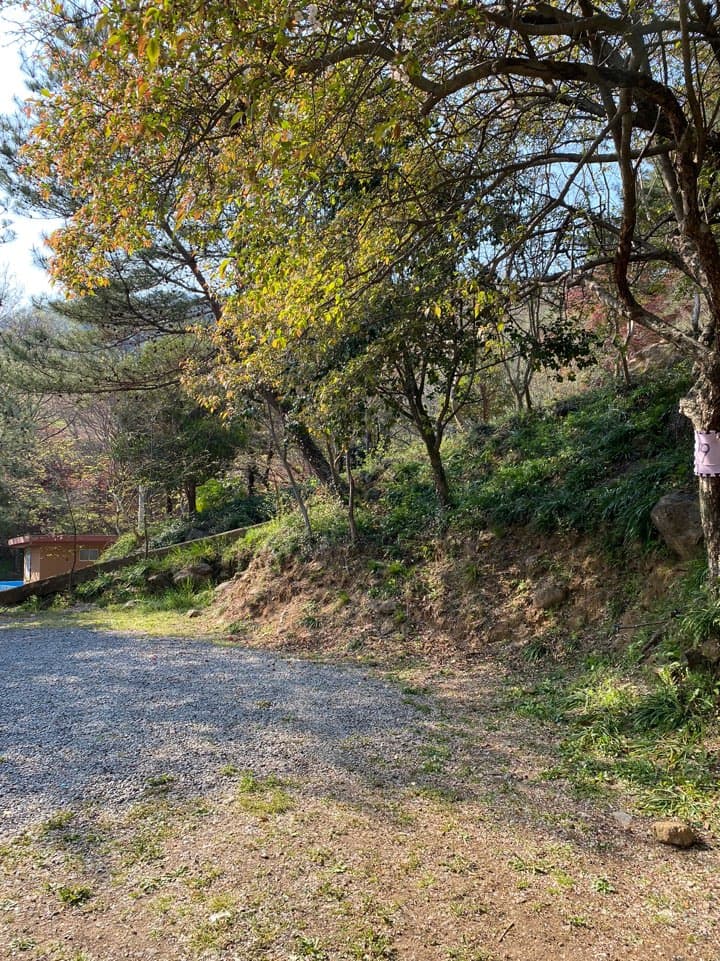 섬지야영장 사진 45