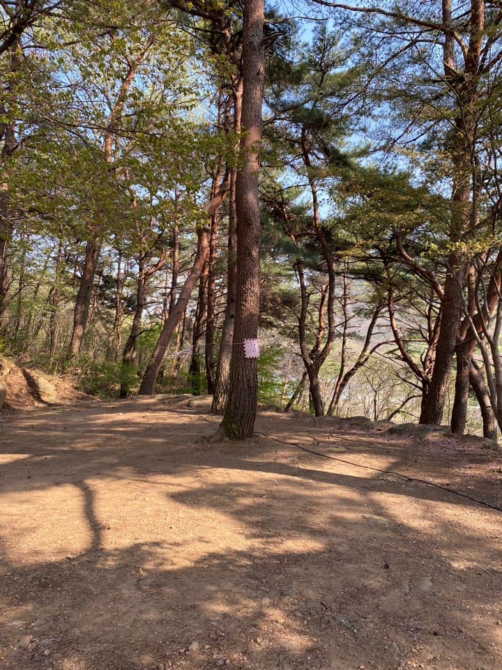 섬지야영장 사진 43