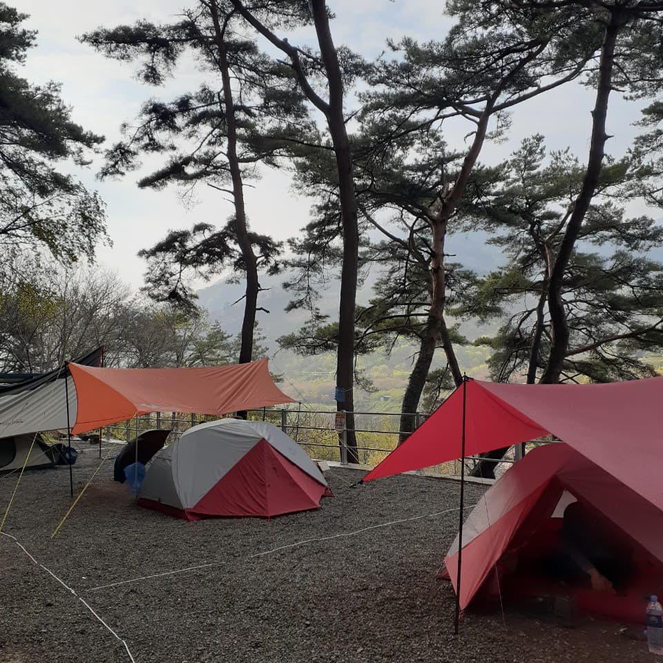 섬지야영장 사진 34