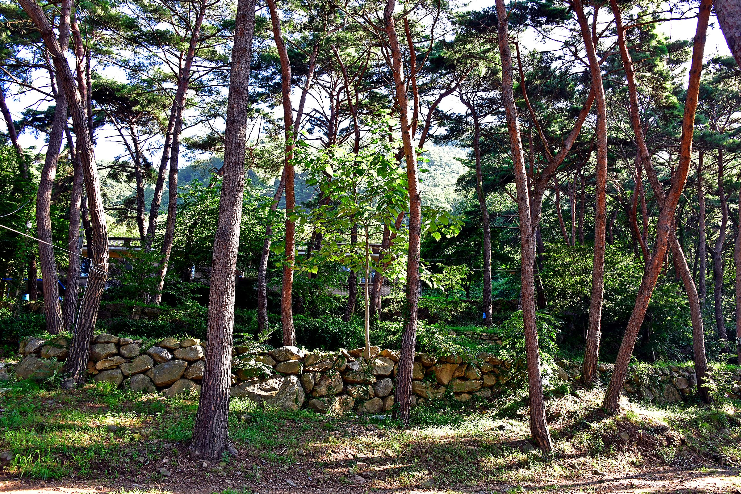 섬지야영장 사진 11