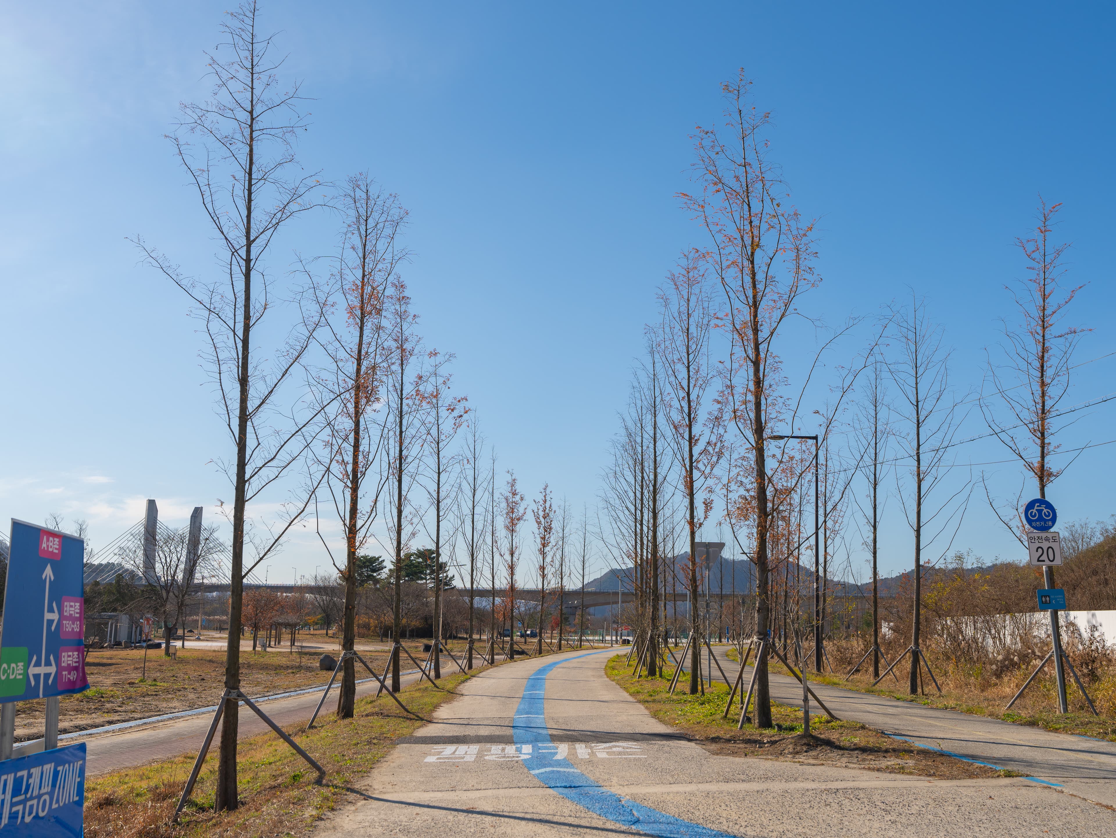 세종 합강캠핑장 사진 11