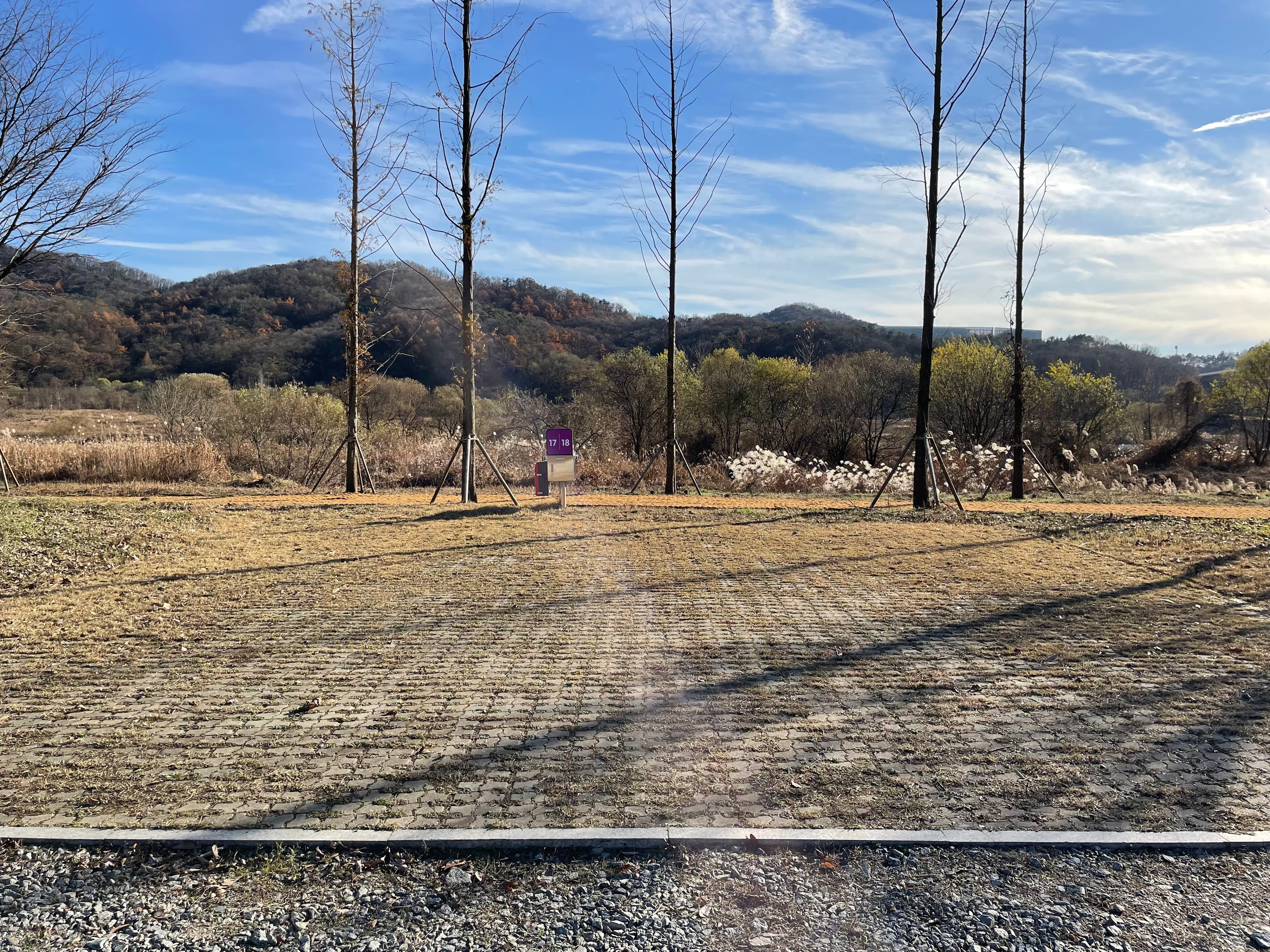 세종 합강캠핑장 사진 12