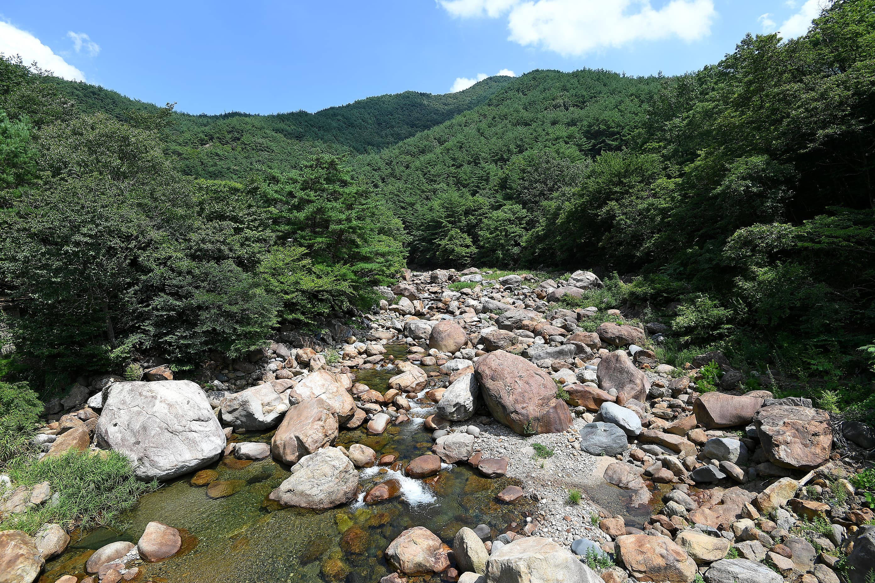 소막골야영장 사진 16
