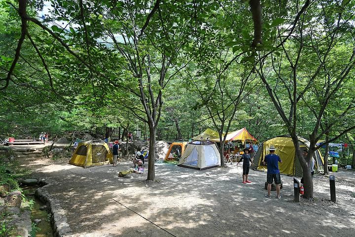 소막골야영장 대표 사진