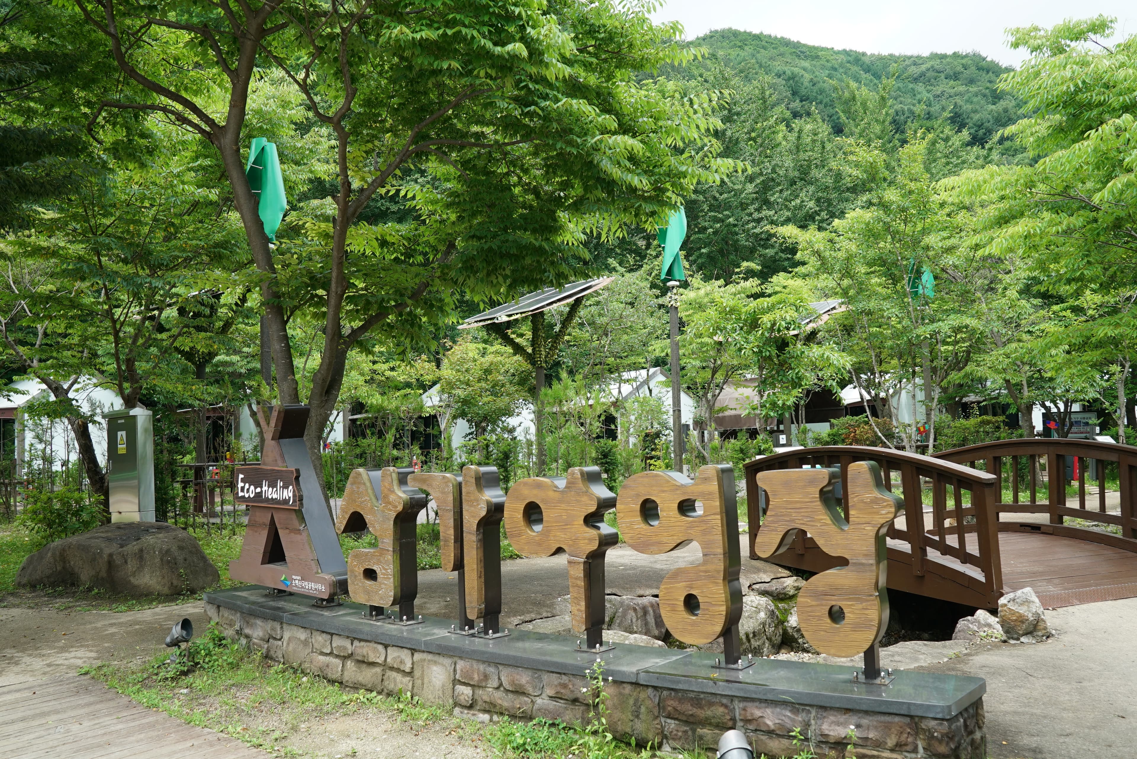 소백산삼가야영장 사진 25