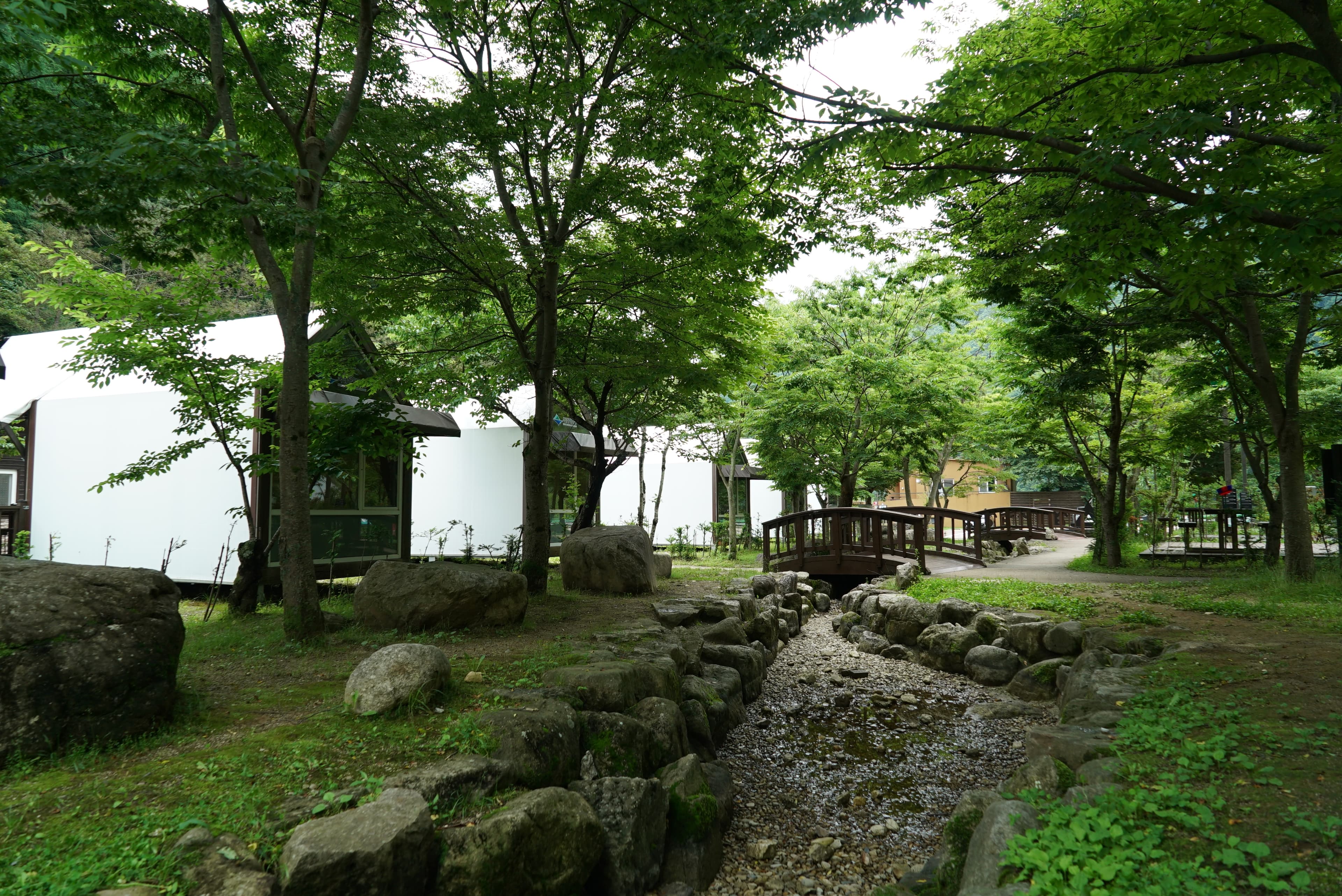 소백산삼가야영장 사진 22