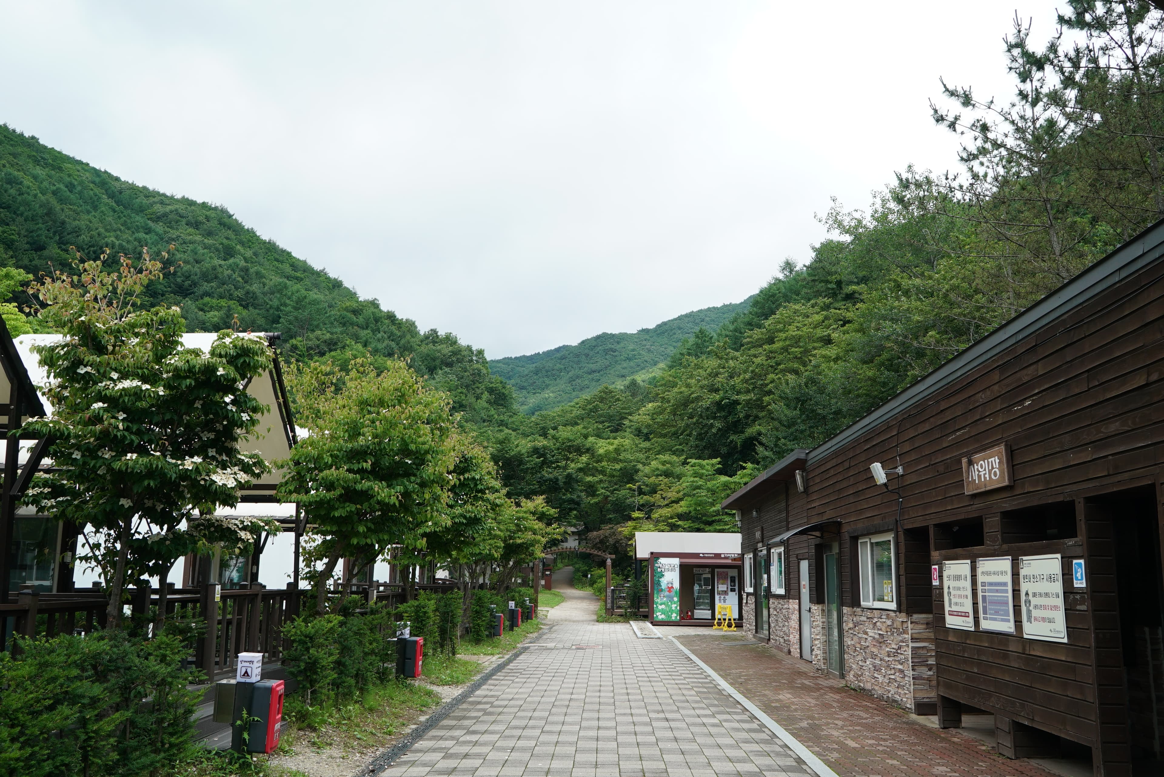 소백산삼가야영장 사진 26