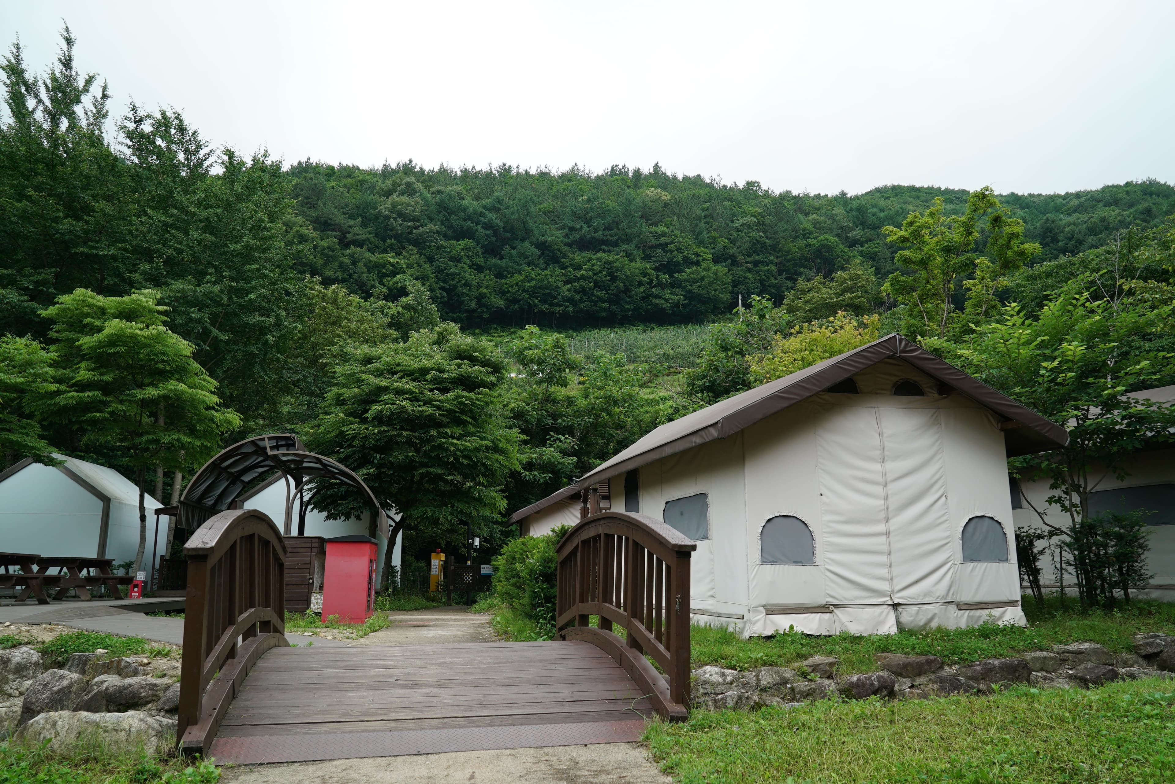 소백산삼가야영장 사진 20