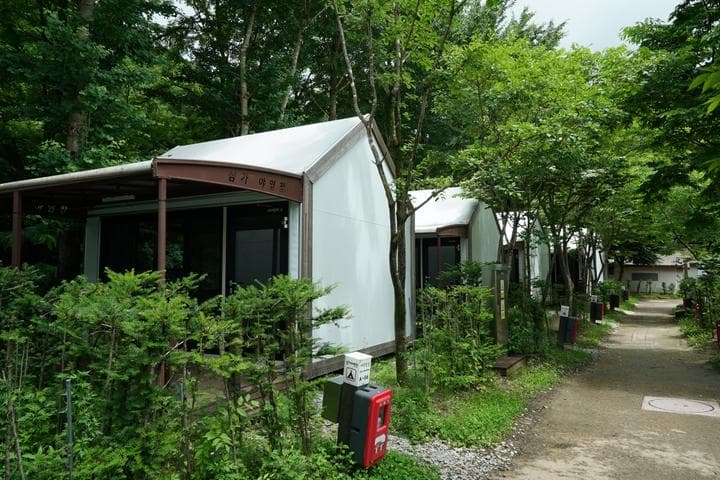 소백산삼가야영장 대표 사진