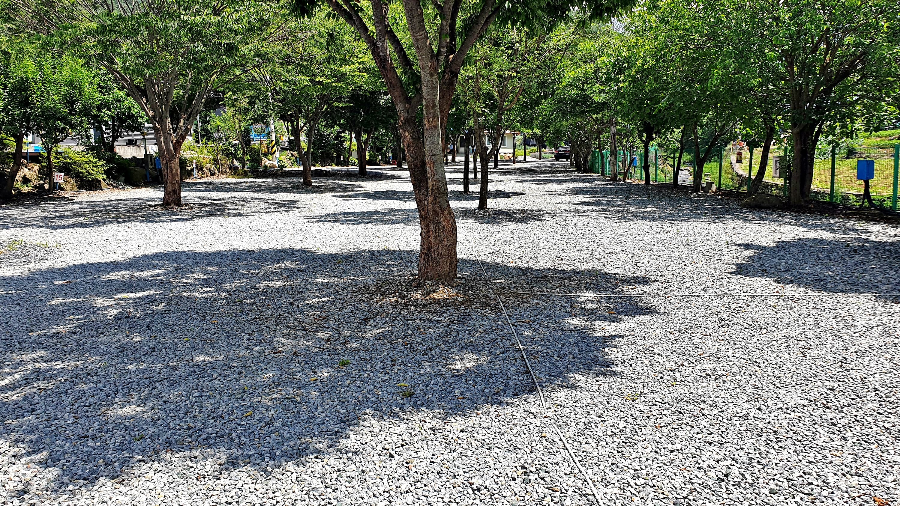 소백산오토캠핑장 사진 15