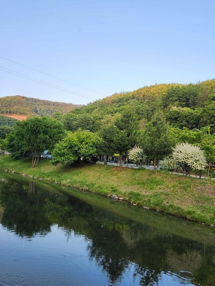 속리산알프스캠핑장&펜션 대표 사진