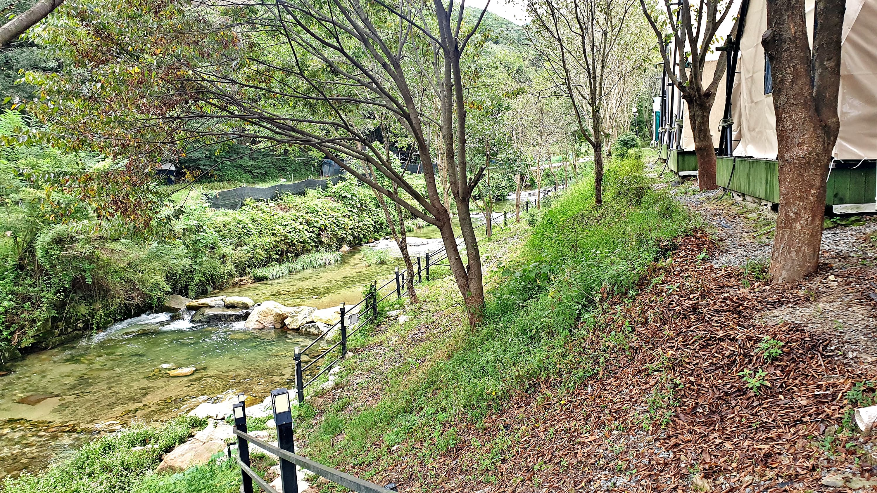 계룡산글램핑 동월숲 사진 18