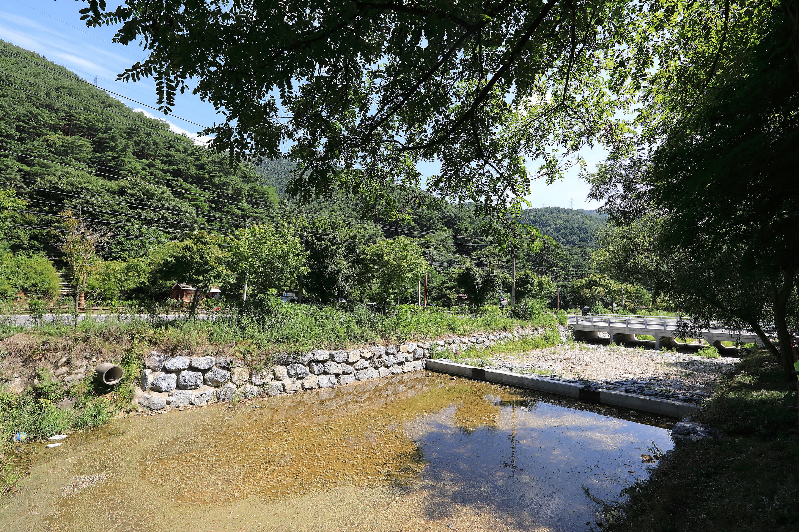 용두산오토캠핑장 사진 16