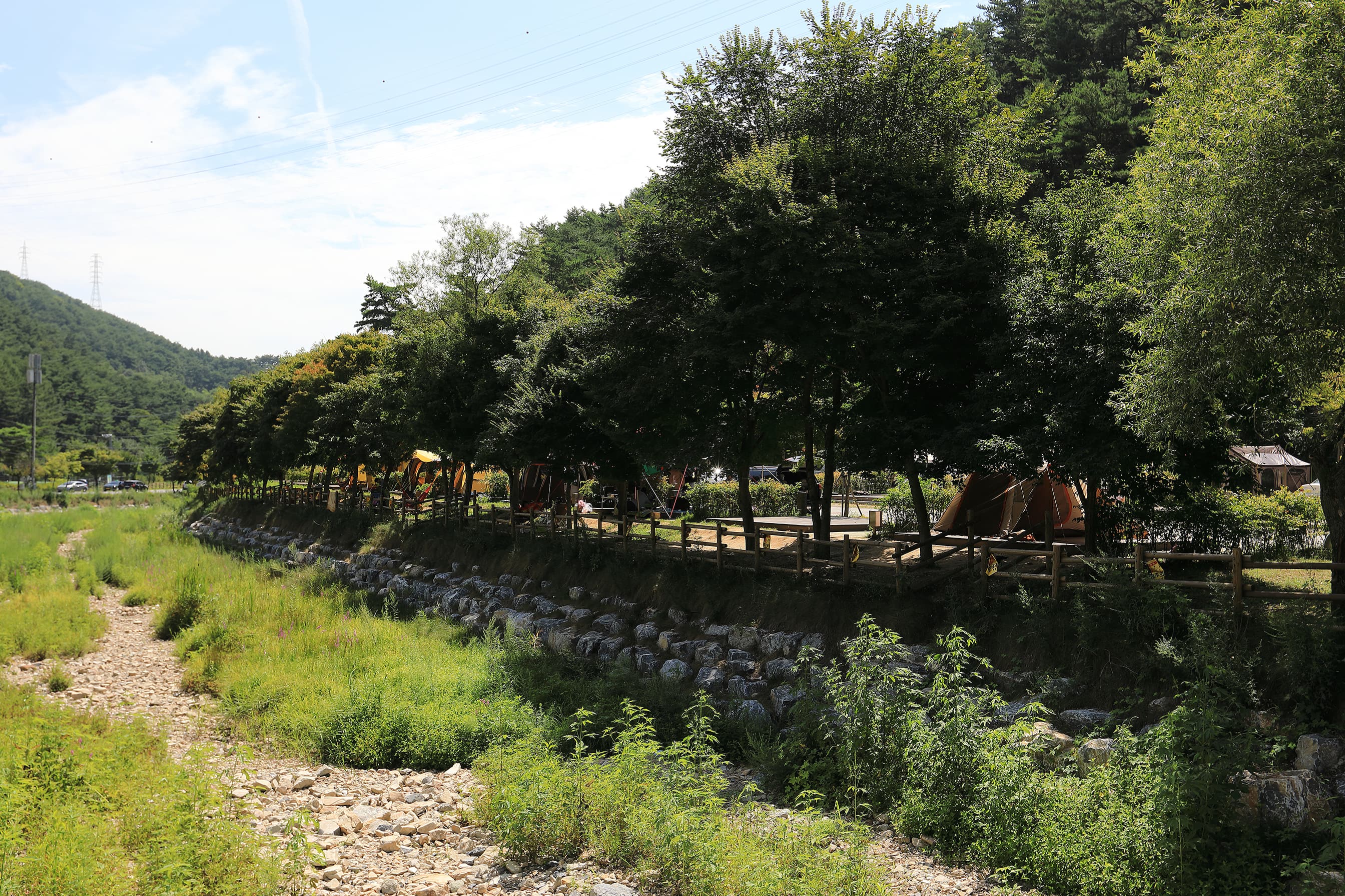 용두산오토캠핑장 사진 15