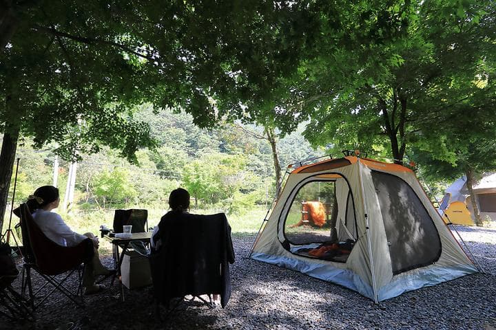 용두산오토캠핑장 대표 사진
