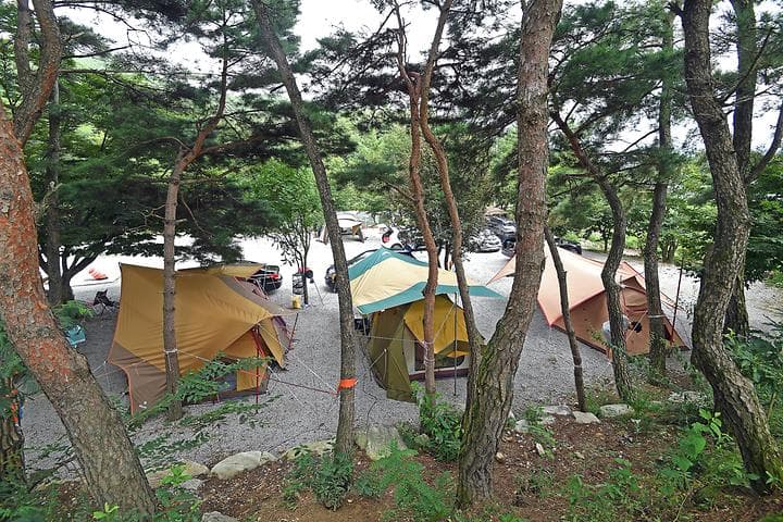용추그린하우스 대표 사진