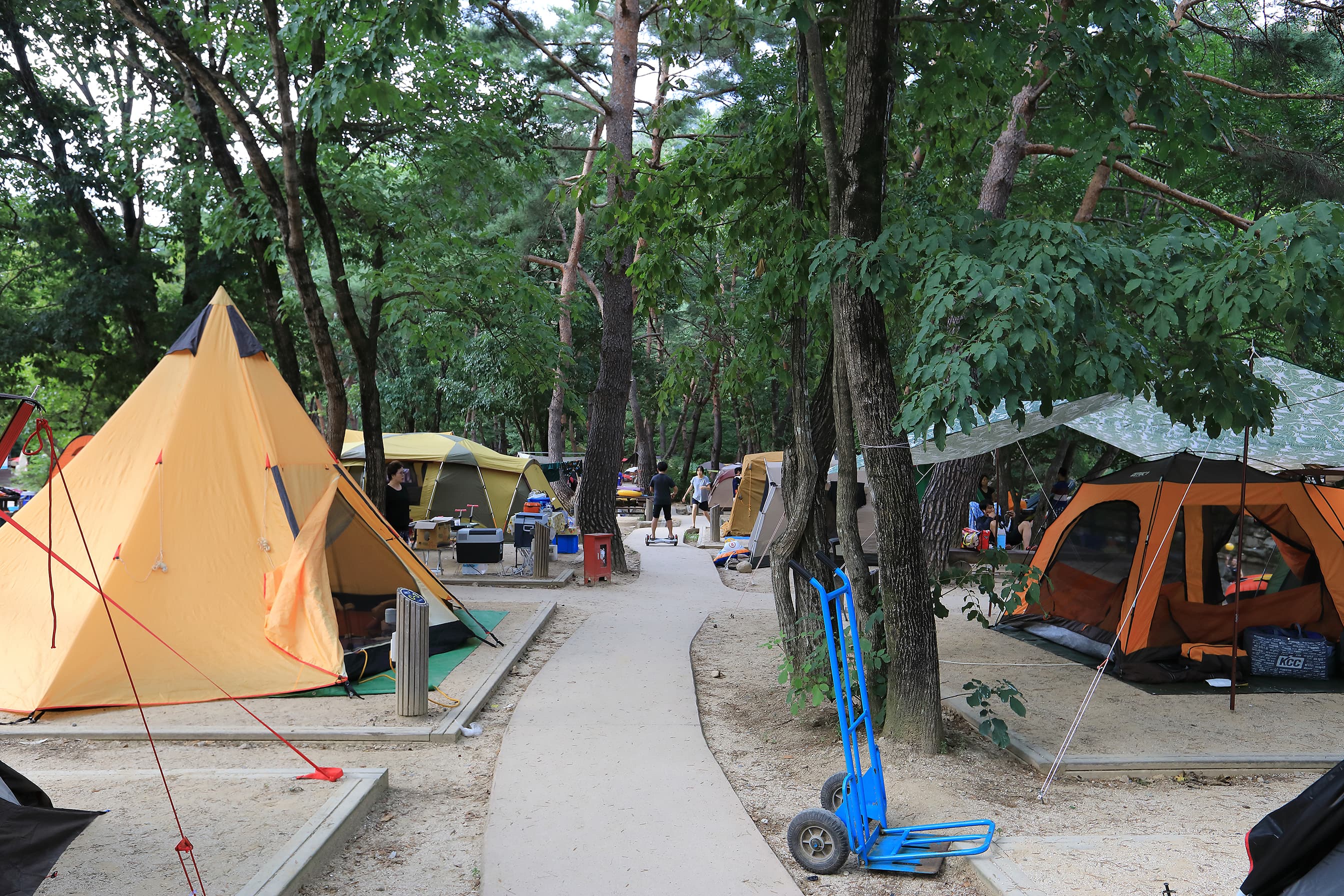 월악산국립공원 닷돈재자동차야영장 사진 5