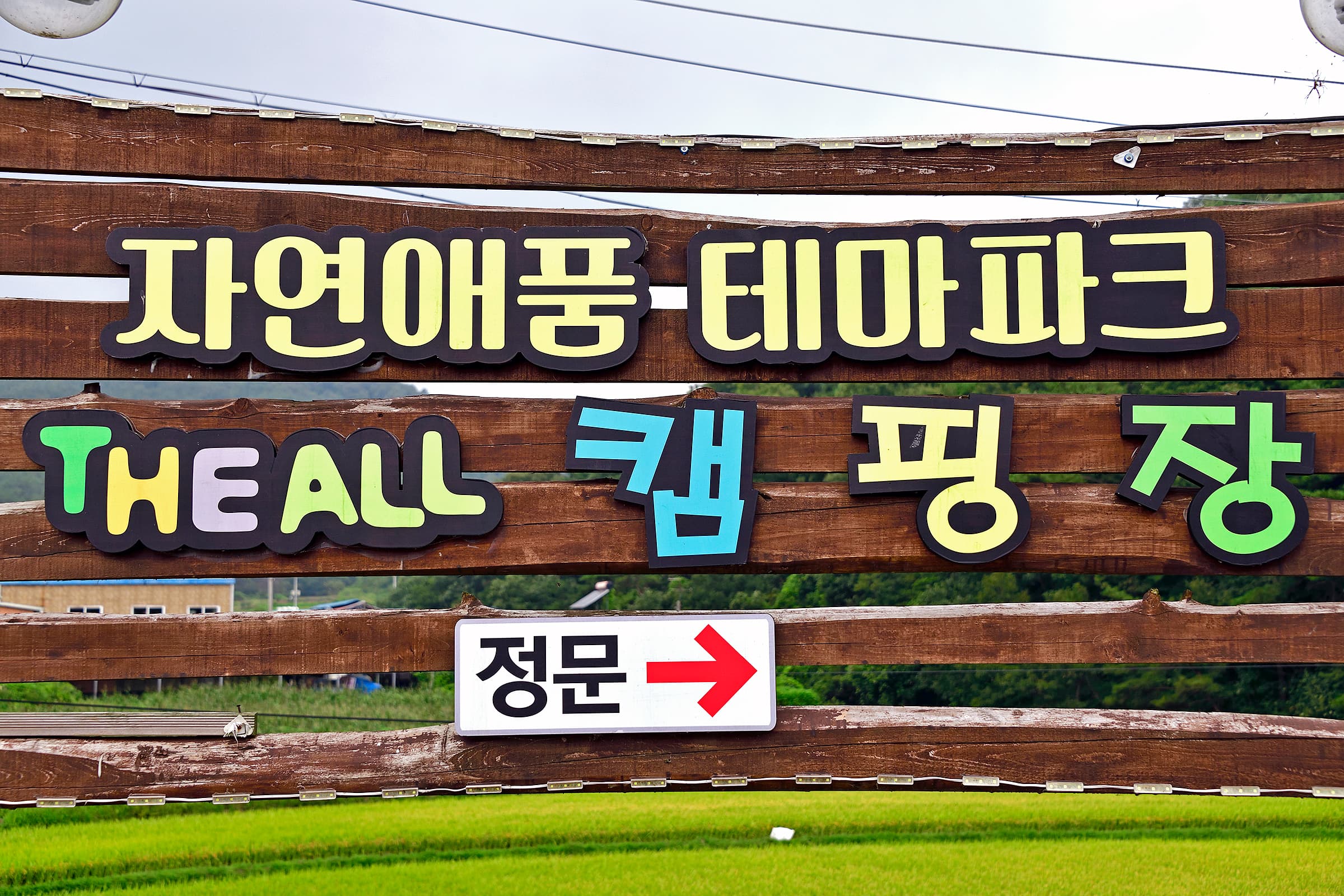 자연애 품 캠핑장 사진 4
