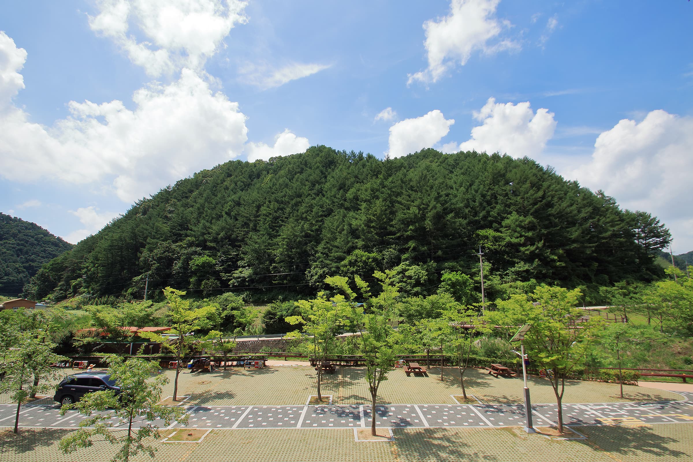 좌구산오토캠핑장 사진 20
