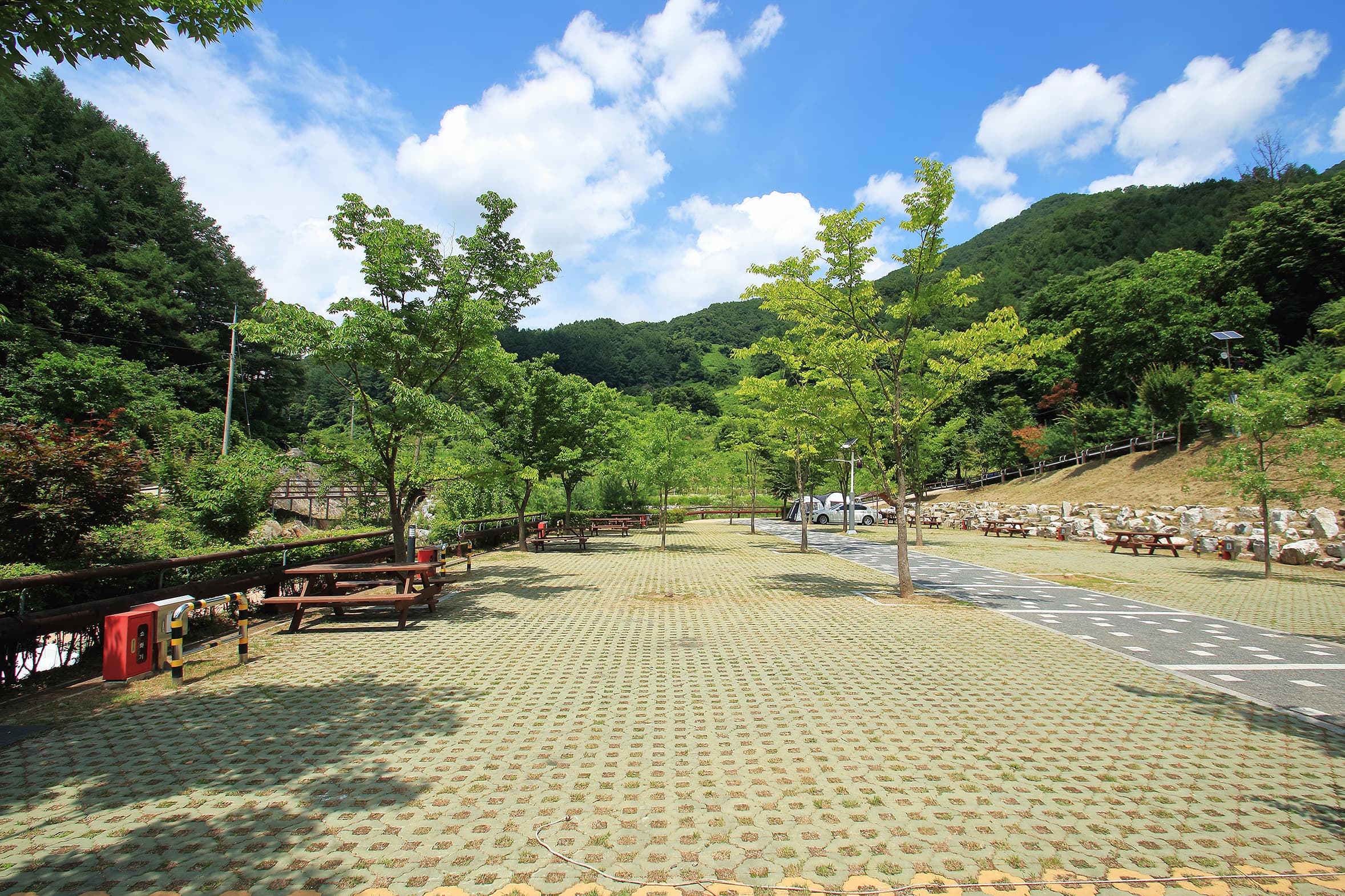 좌구산오토캠핑장 사진 17