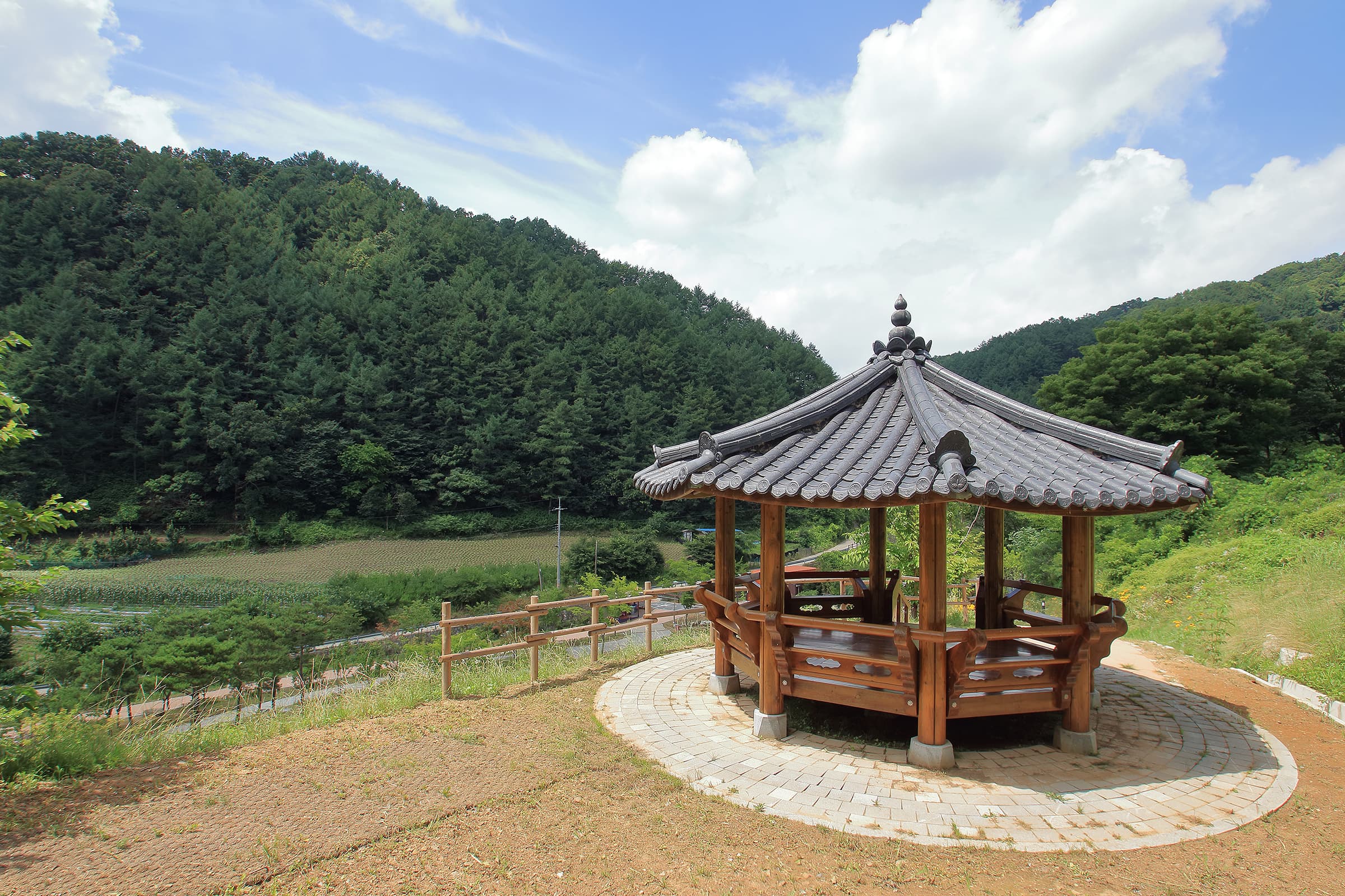 좌구산오토캠핑장 사진 9
