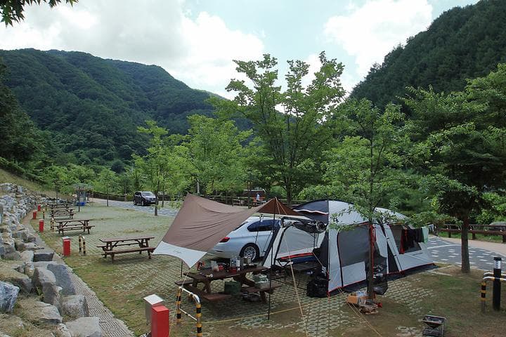 좌구산오토캠핑장 대표 사진