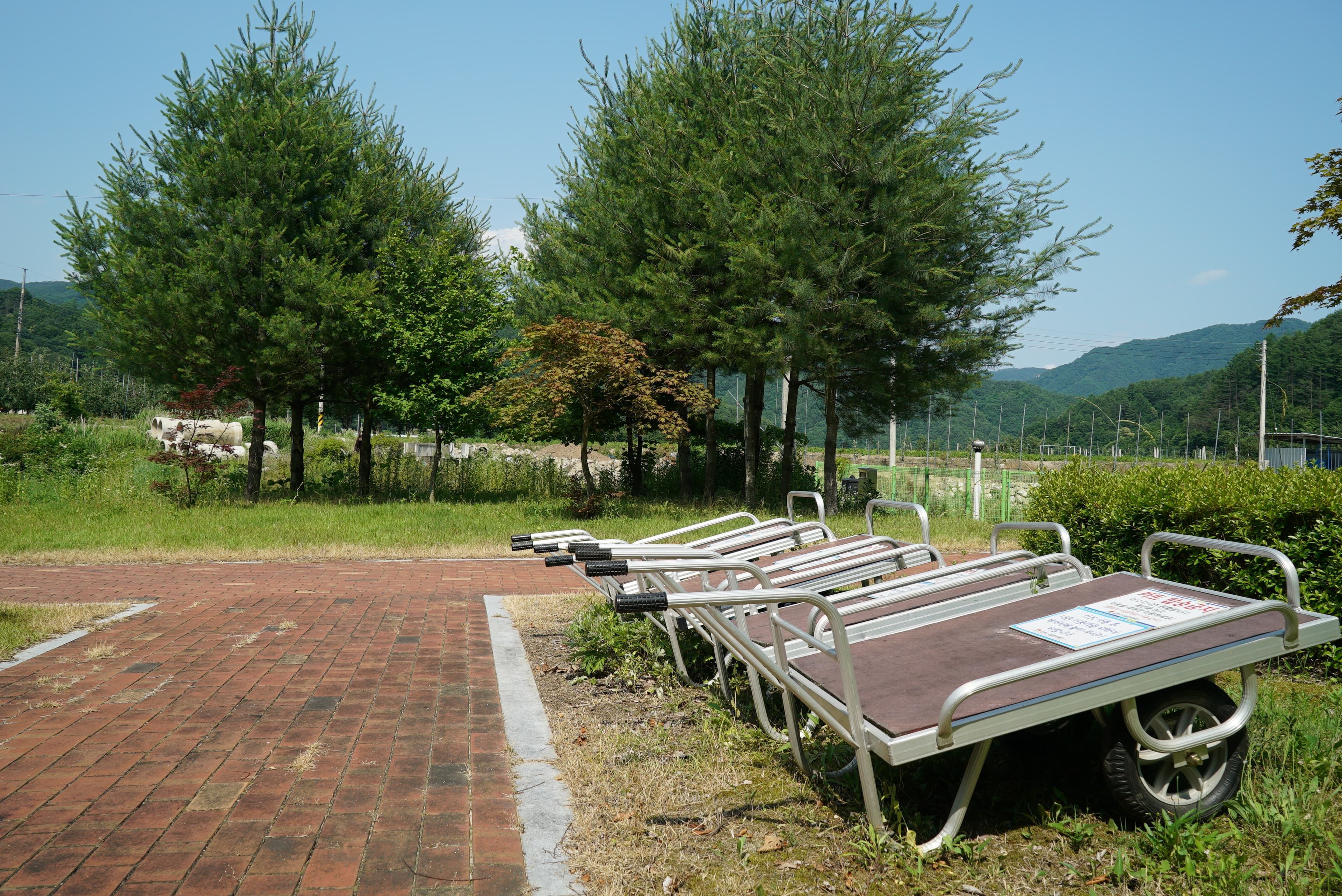 증산수도계곡캠핑장 사진 24