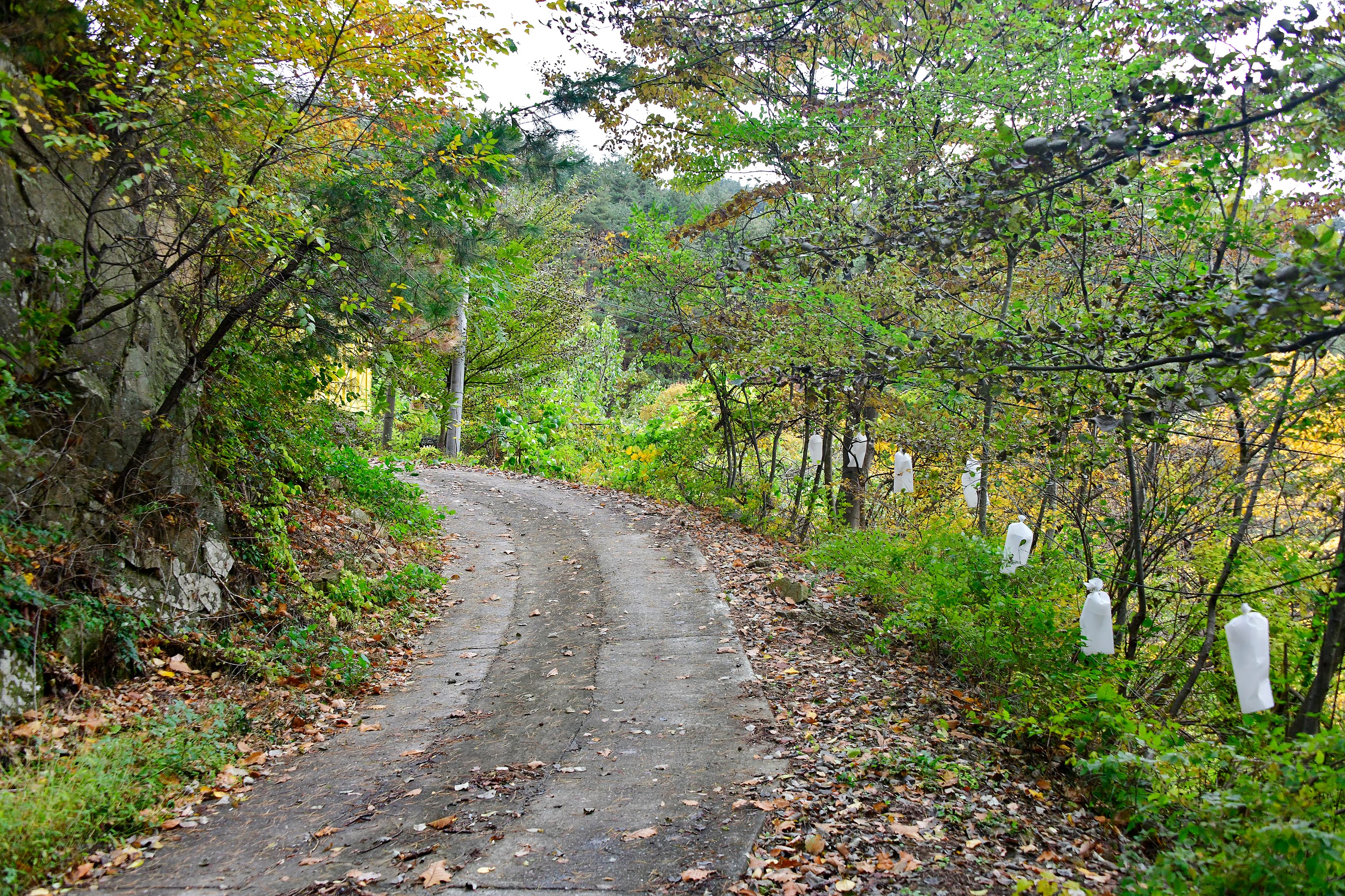 지리산오도재 힐링 캠핑장 사진 13