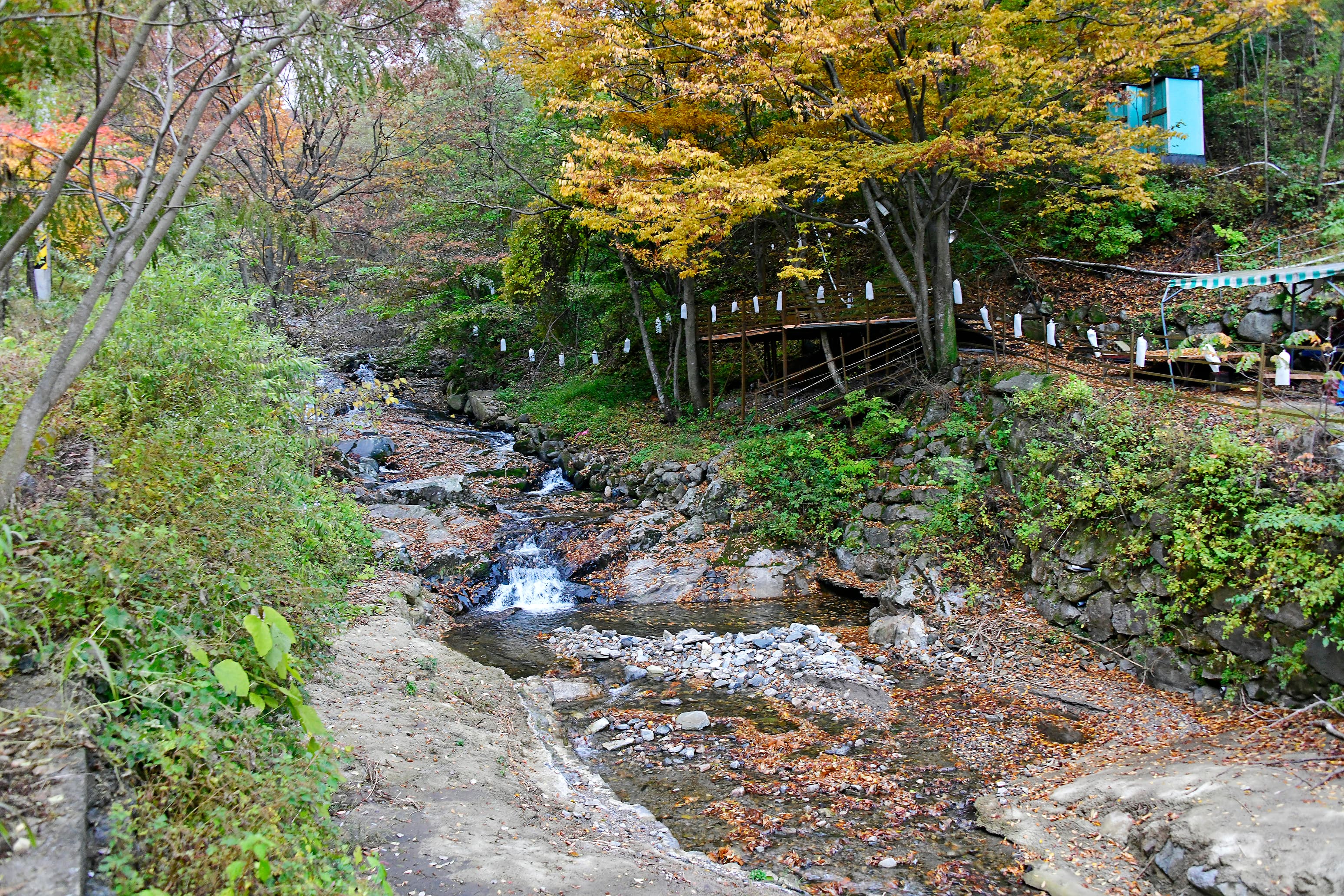 지리산오도재 힐링 캠핑장 사진 7