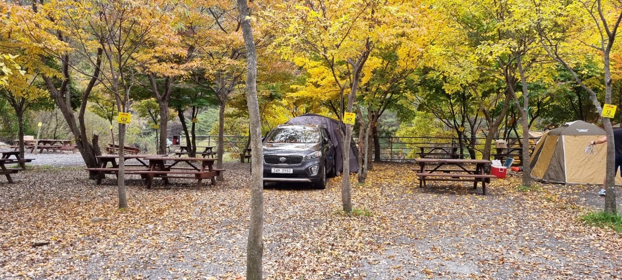 지리산천왕봉오토캠핑장 사진 28