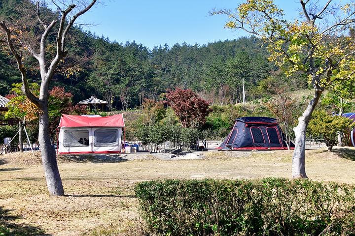 진도풍경오토캠핑장 대표 사진