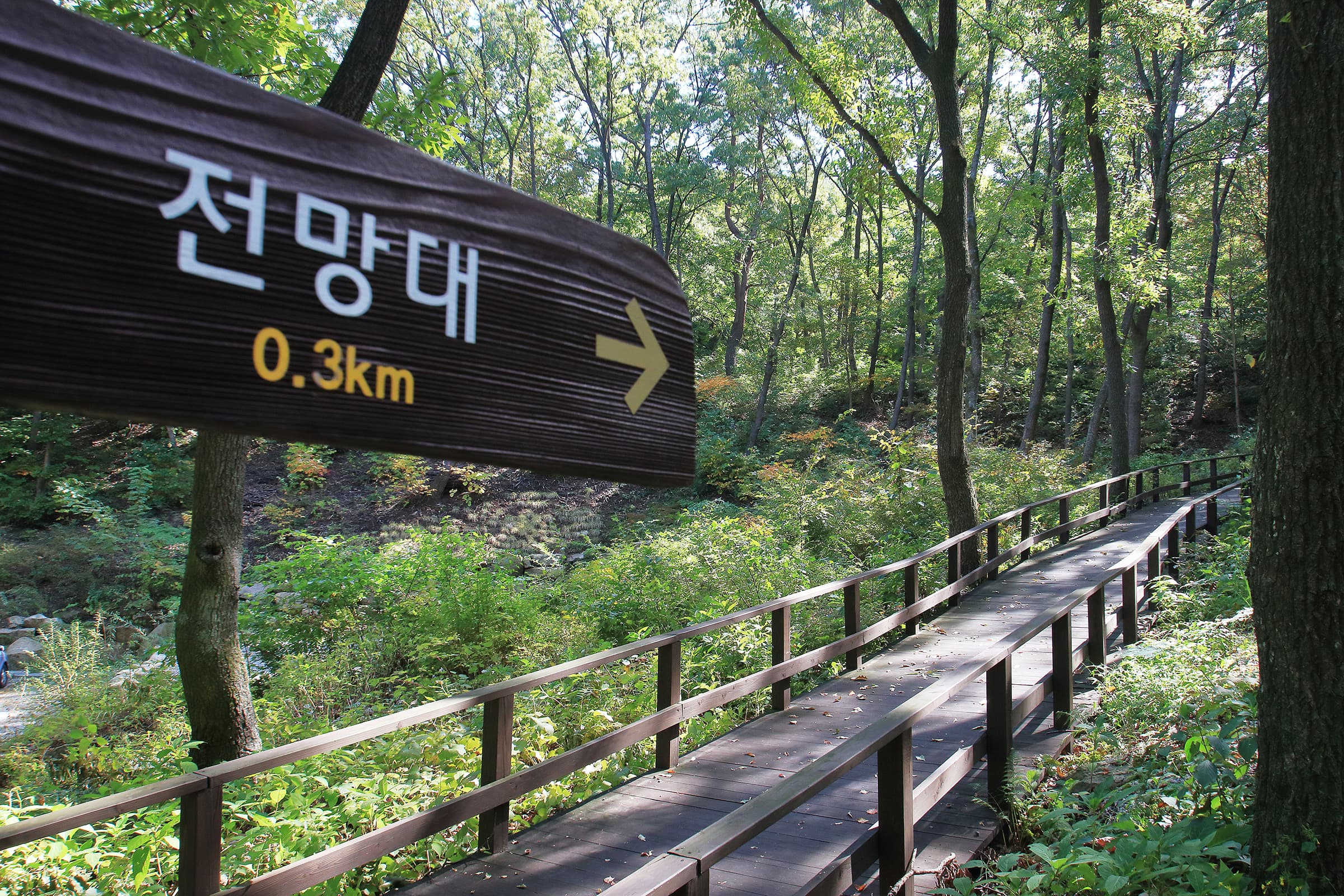 토함산자연휴양림 사진 7