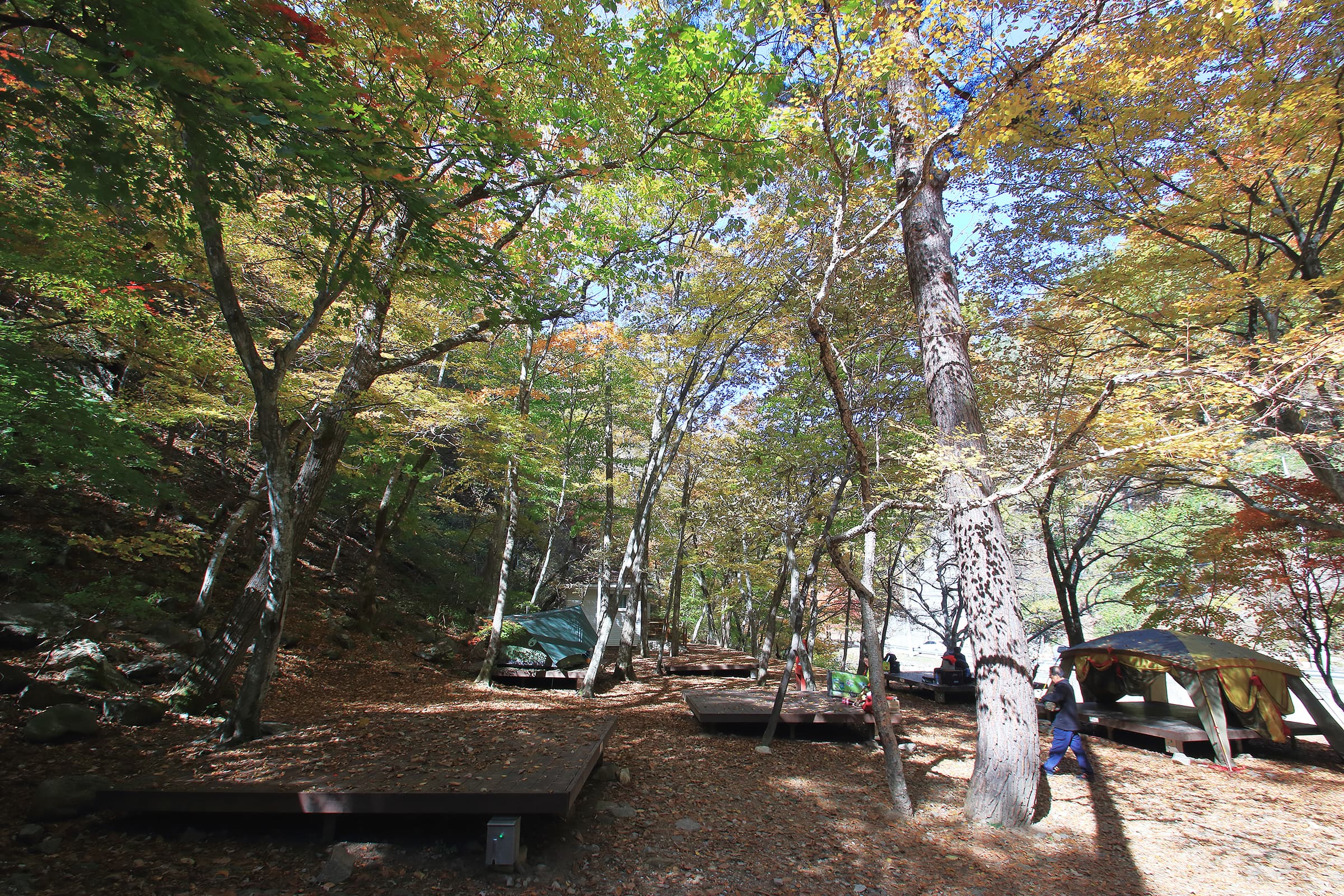통고산 자연휴양림야영장 사진 4