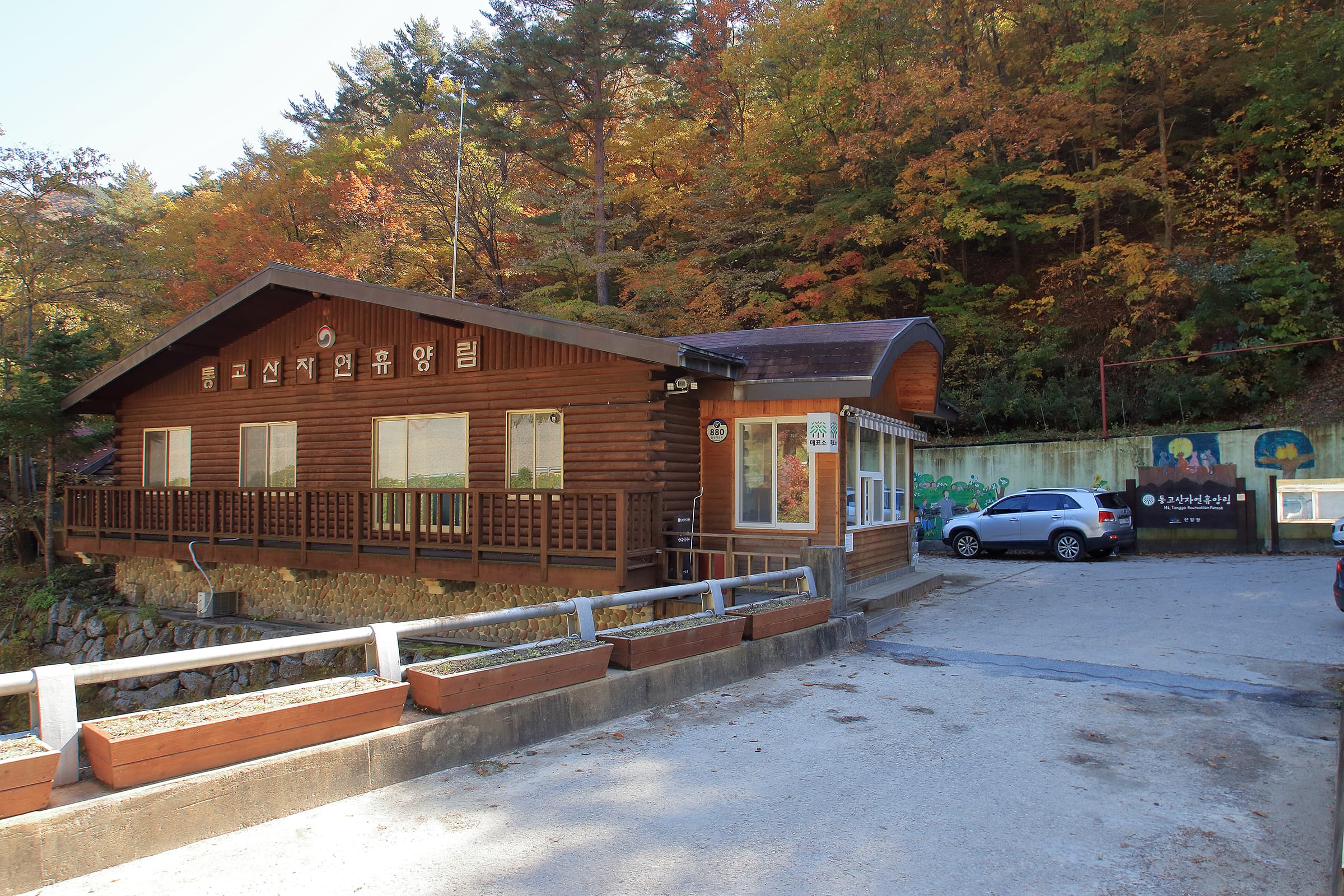 통고산 자연휴양림야영장 사진 2