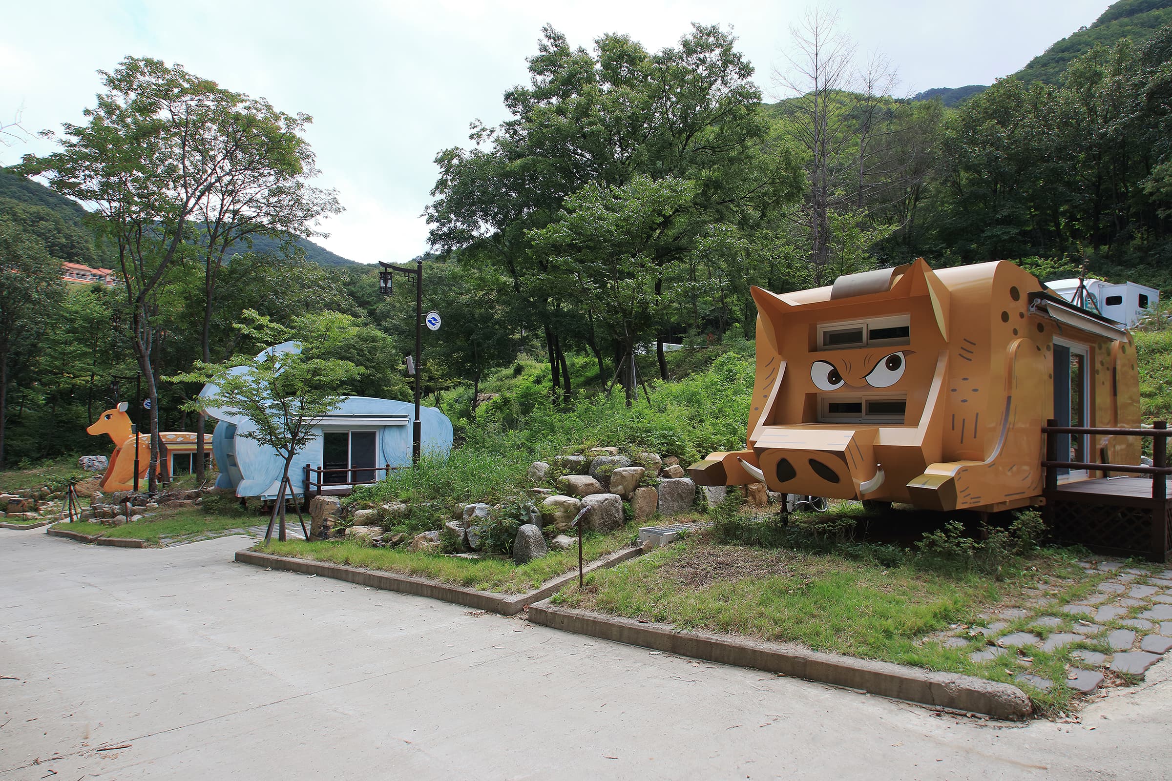 팔공산금화자연휴양림 사진 18