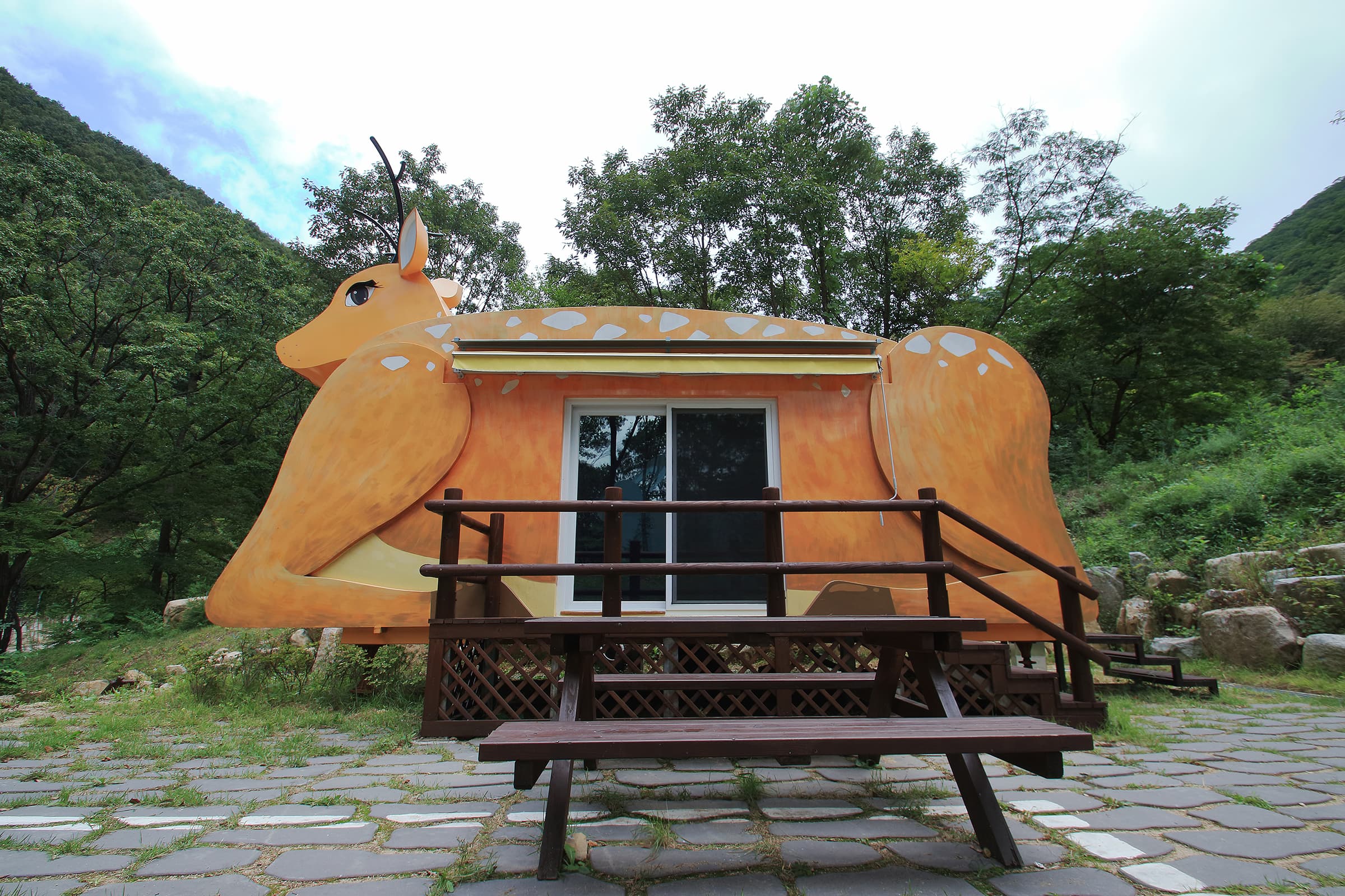 팔공산금화자연휴양림 사진 2