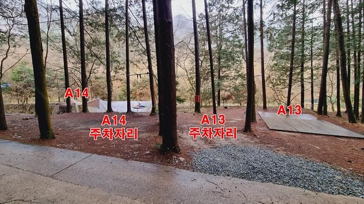 편백힐(치유의숲) 대표 사진