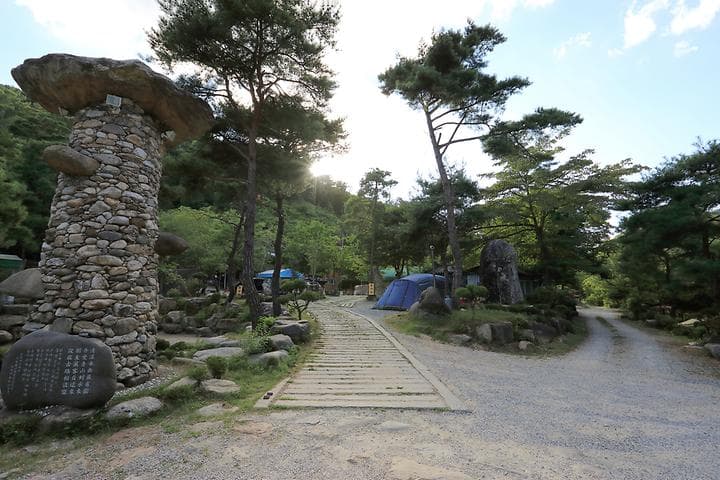 드래곤오토캠핑장 대표 사진