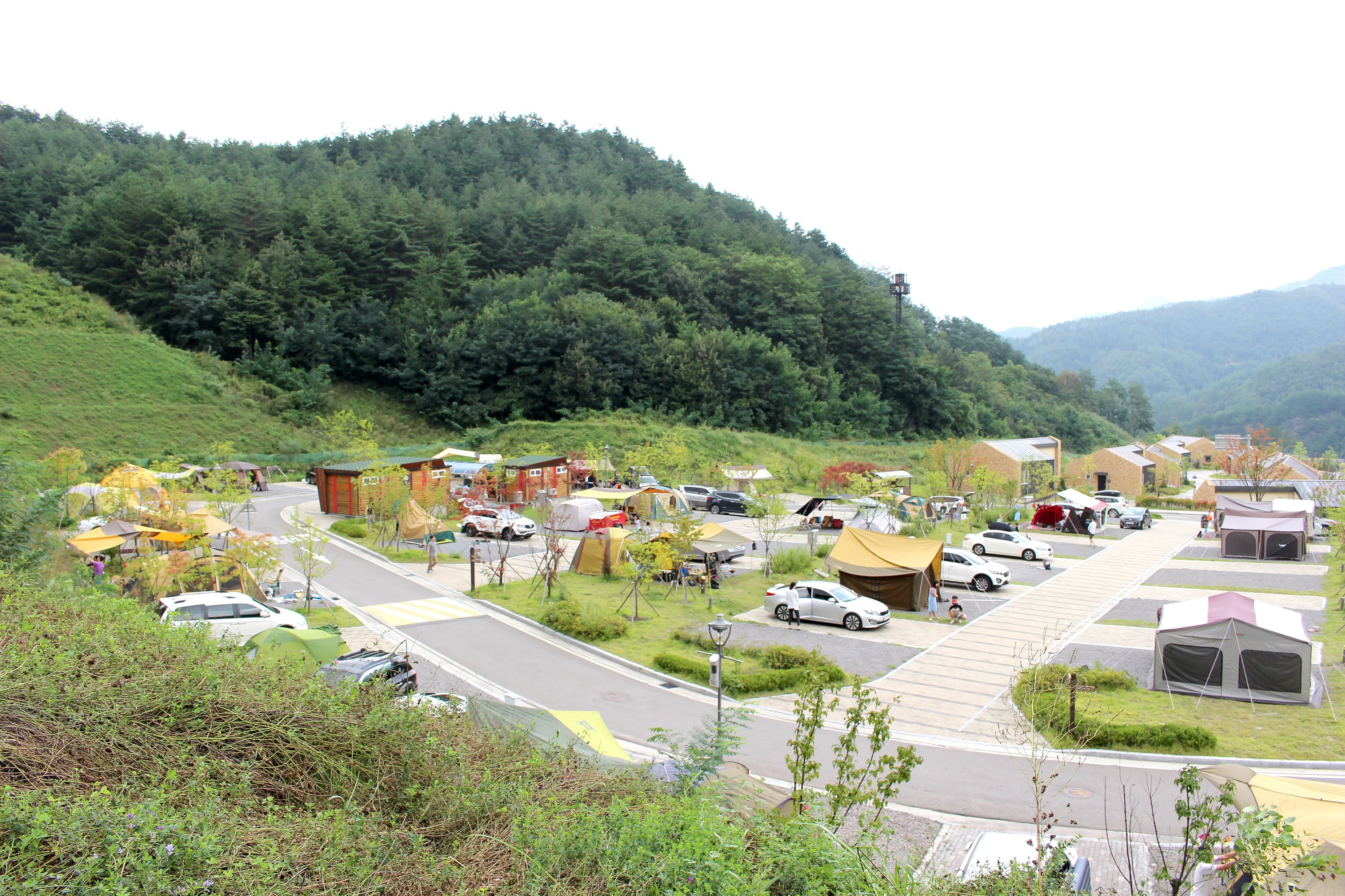 (주)하이원추추파크 사진 10