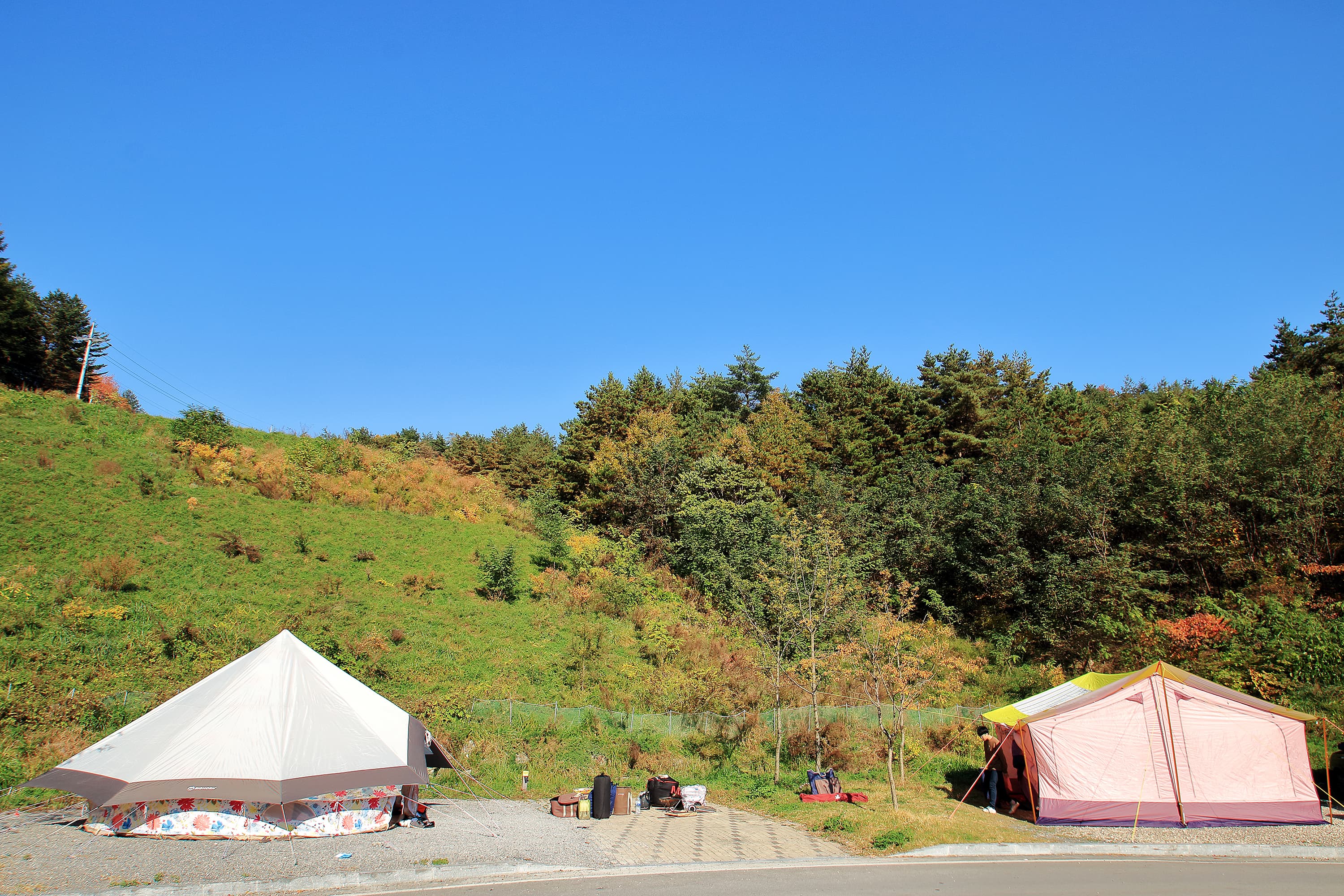 (주)하이원추추파크 사진 6